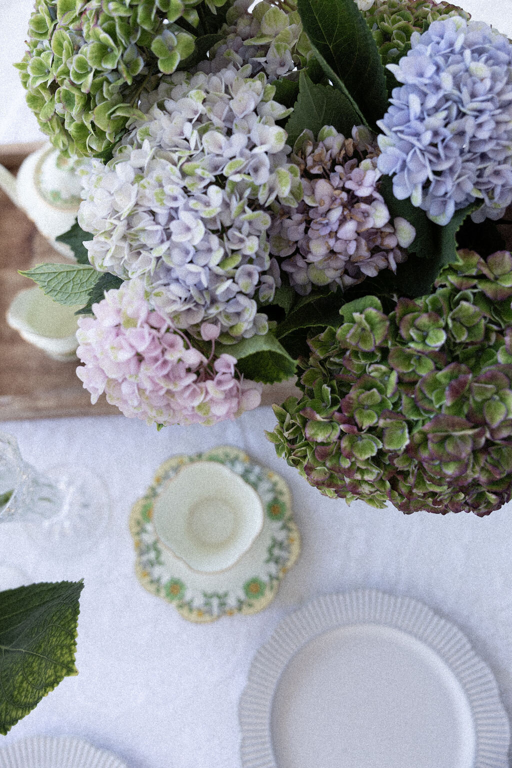 1356588b-4340-4345-8466-a53a2d9b6cfc