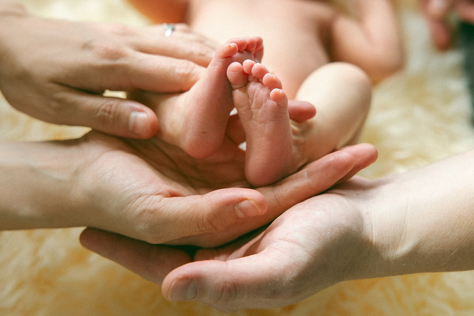 Adeline Newborn Photos-69