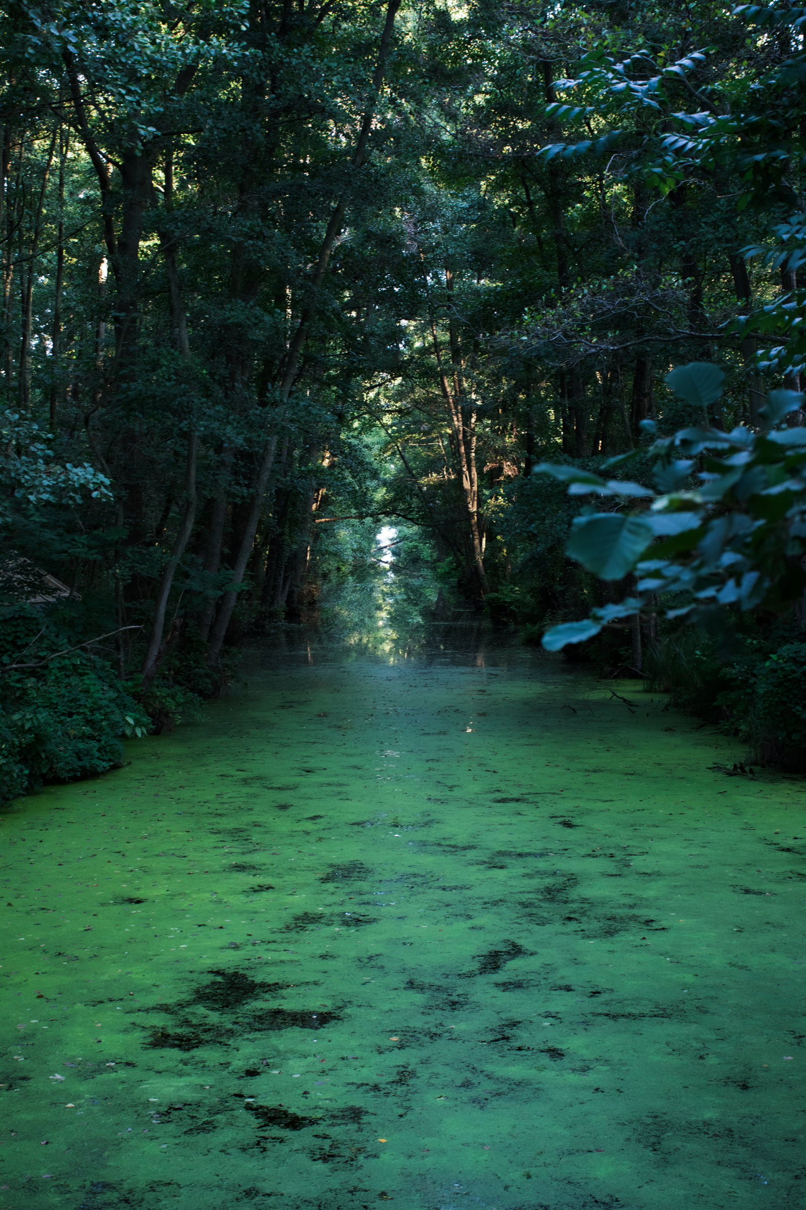 green_canal_tunnel
