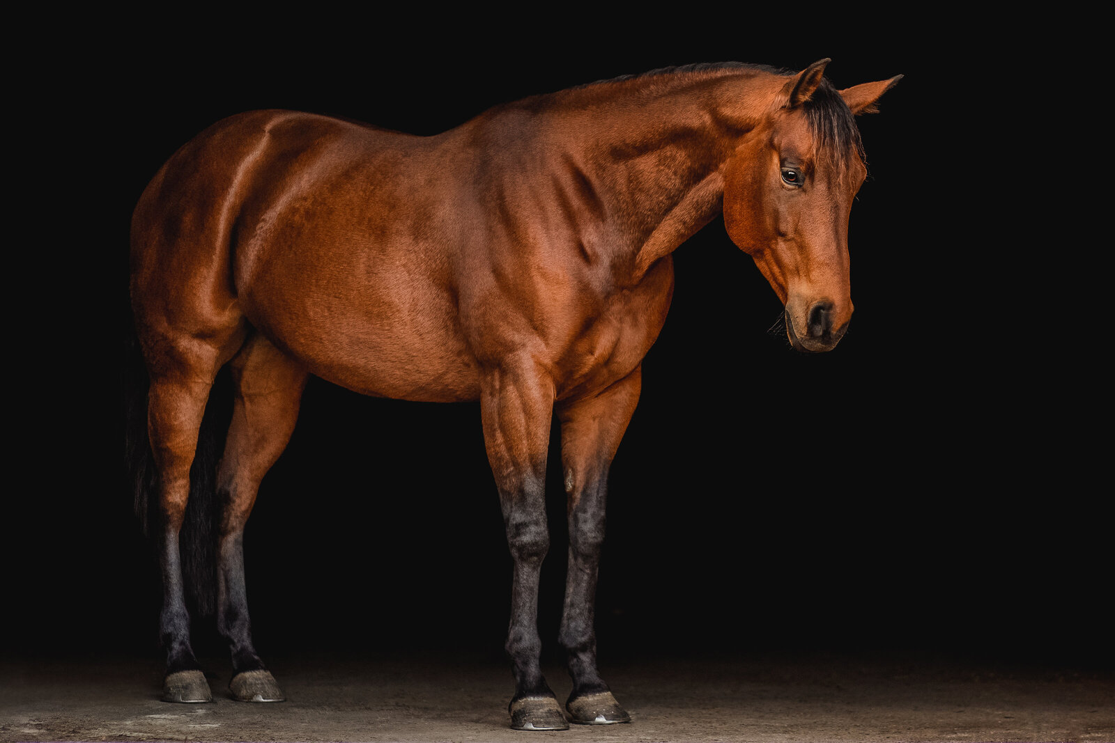 _MG_8553-Edit