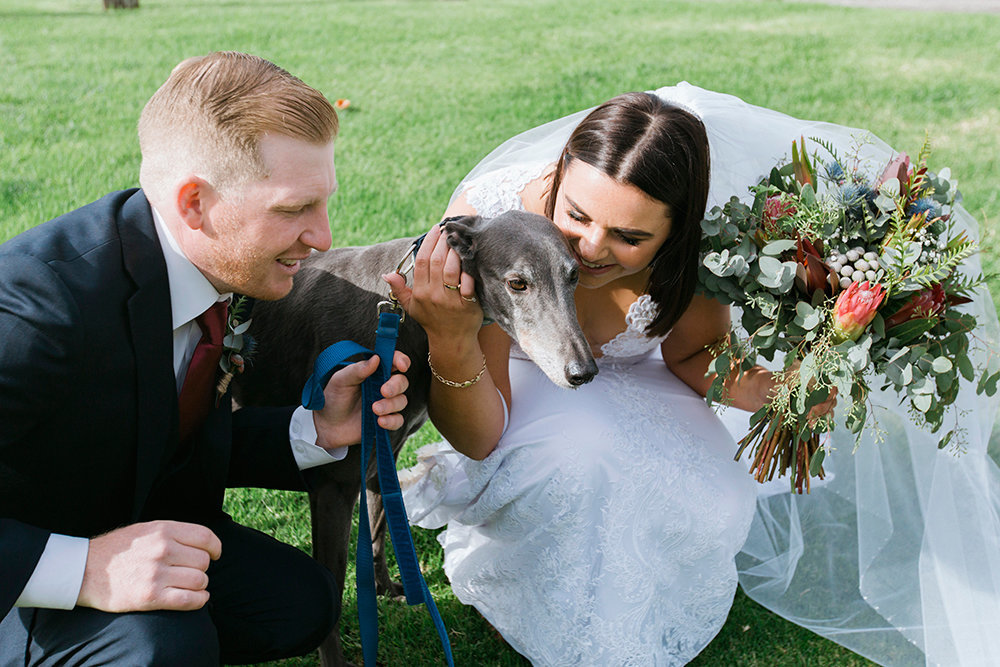 Dogs in weddings. Snapped by Monika Berry Geelong and Bellarine Wedding Photographer