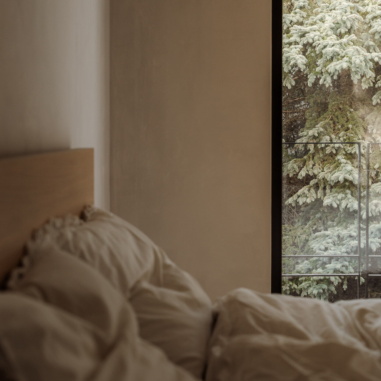 Festoon Ranch Footer4