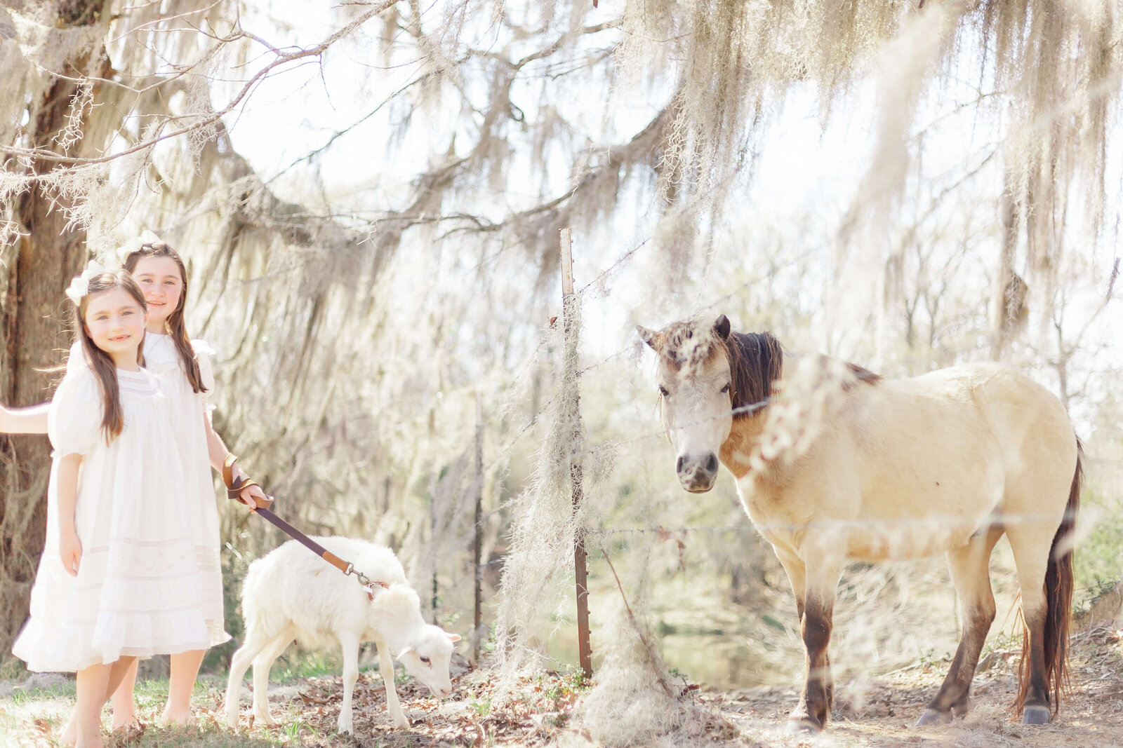 Mississippi-Family-Photographer-54