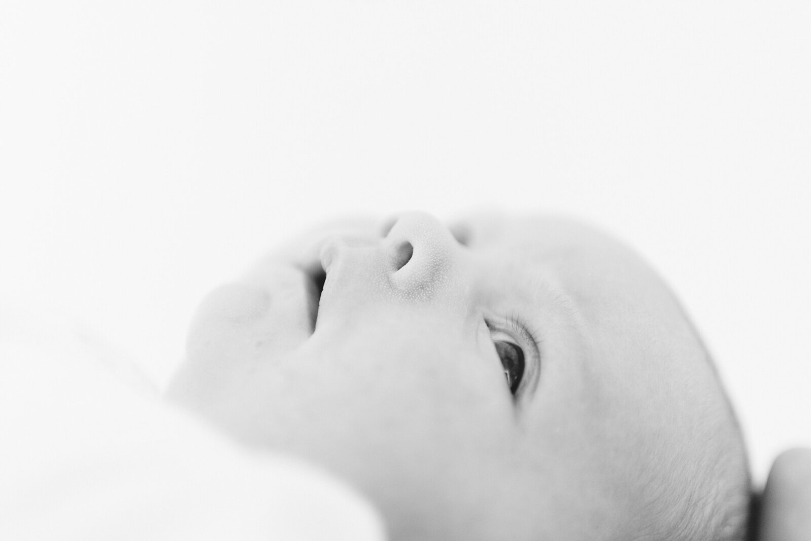 Newborn lifestyle family portrait photo shoot Plymouth Liberty Pearl Photography6