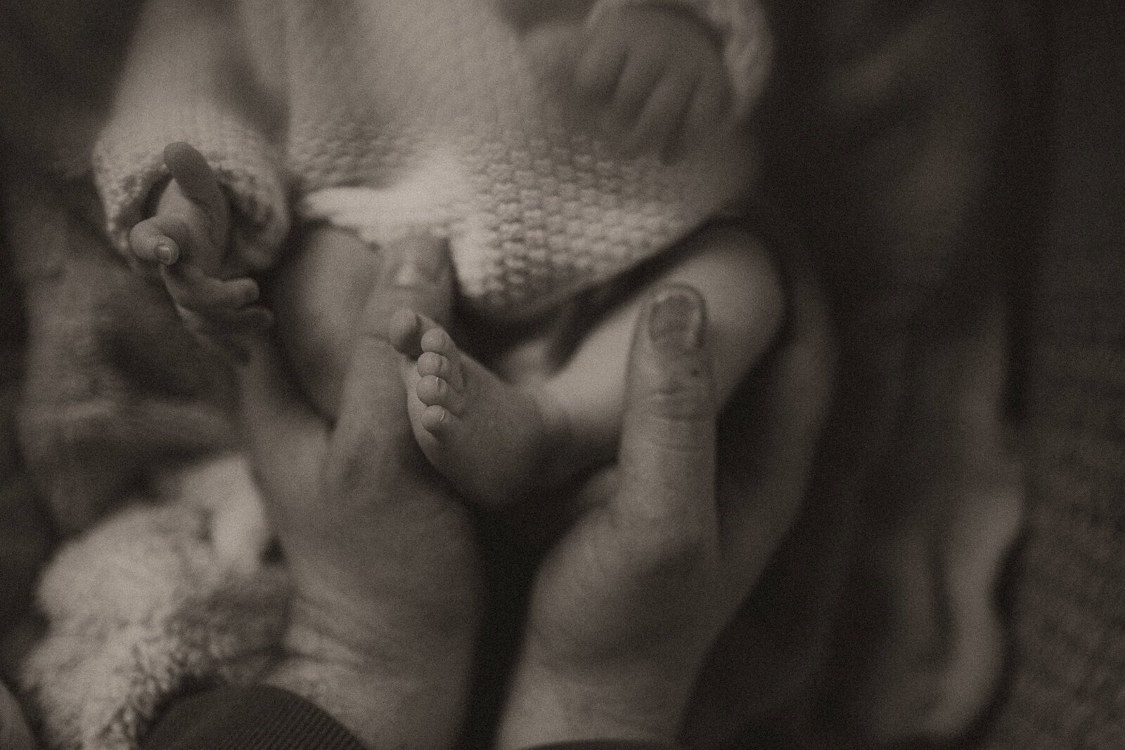 Michigan maternity photographer 006