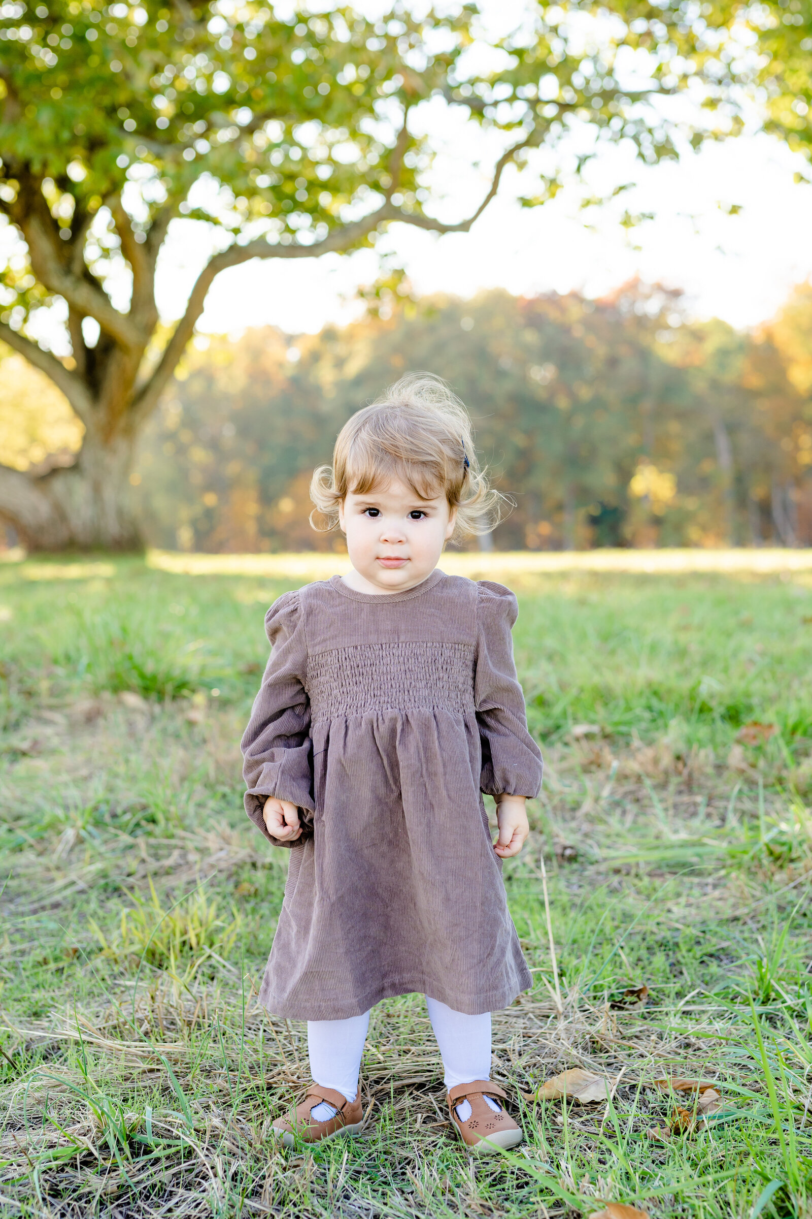 Light and Airy Fall Family Session at the Manassas Battlefield -Megan Hollada Photography - Northern Virginia Family Photographer