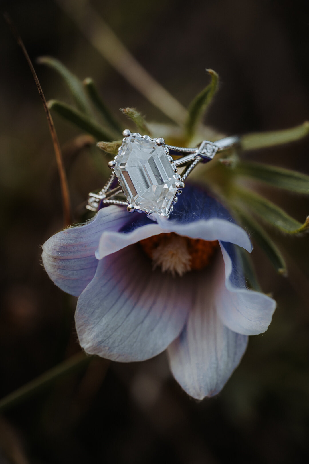 gail's ring-240510-001