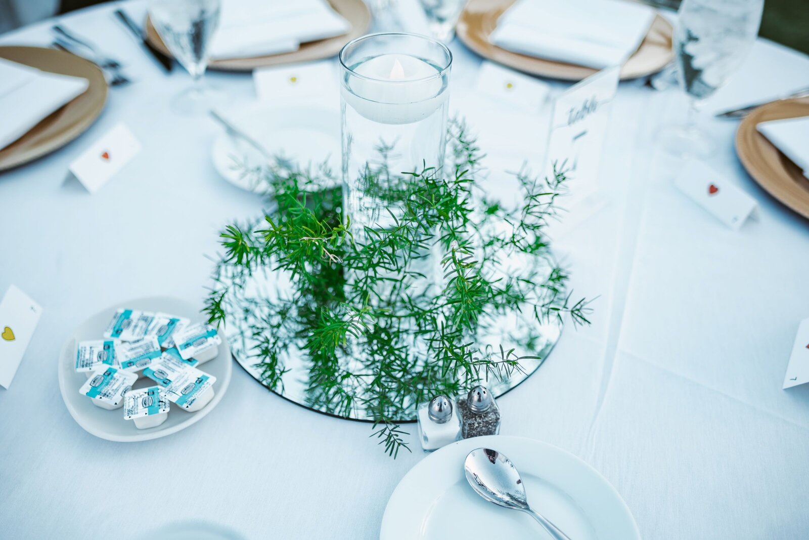 newnan_georgia_weddings