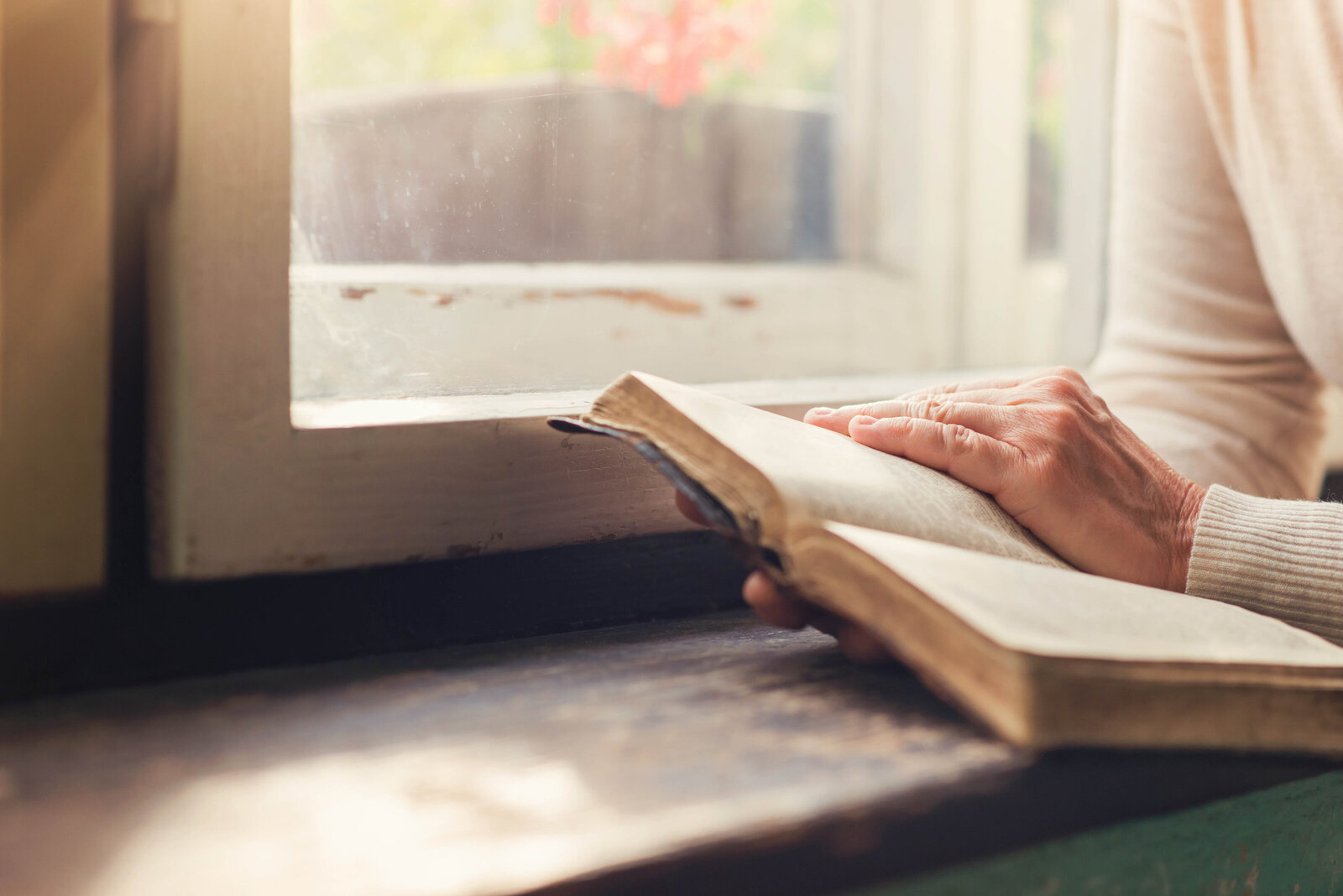 unrecognizable-woman-holding-a-bible-in-her-hands-SBI-305129017