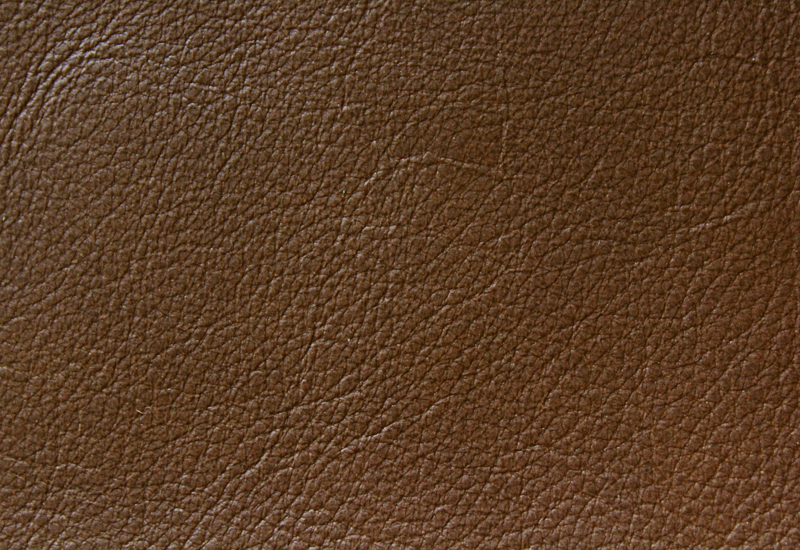 Amadeus  Derby Leather