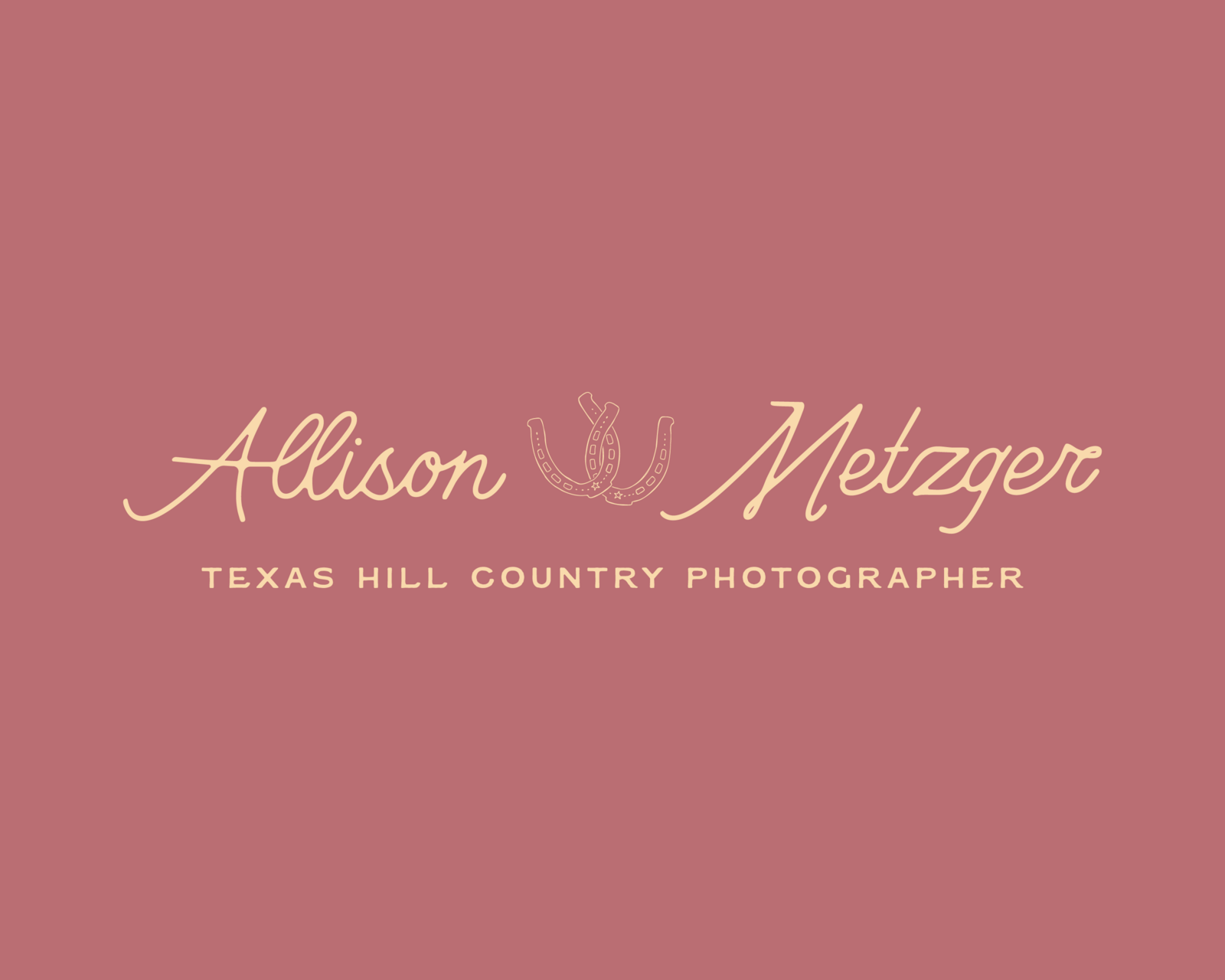 websiteportfolio_allisonmetzger-04