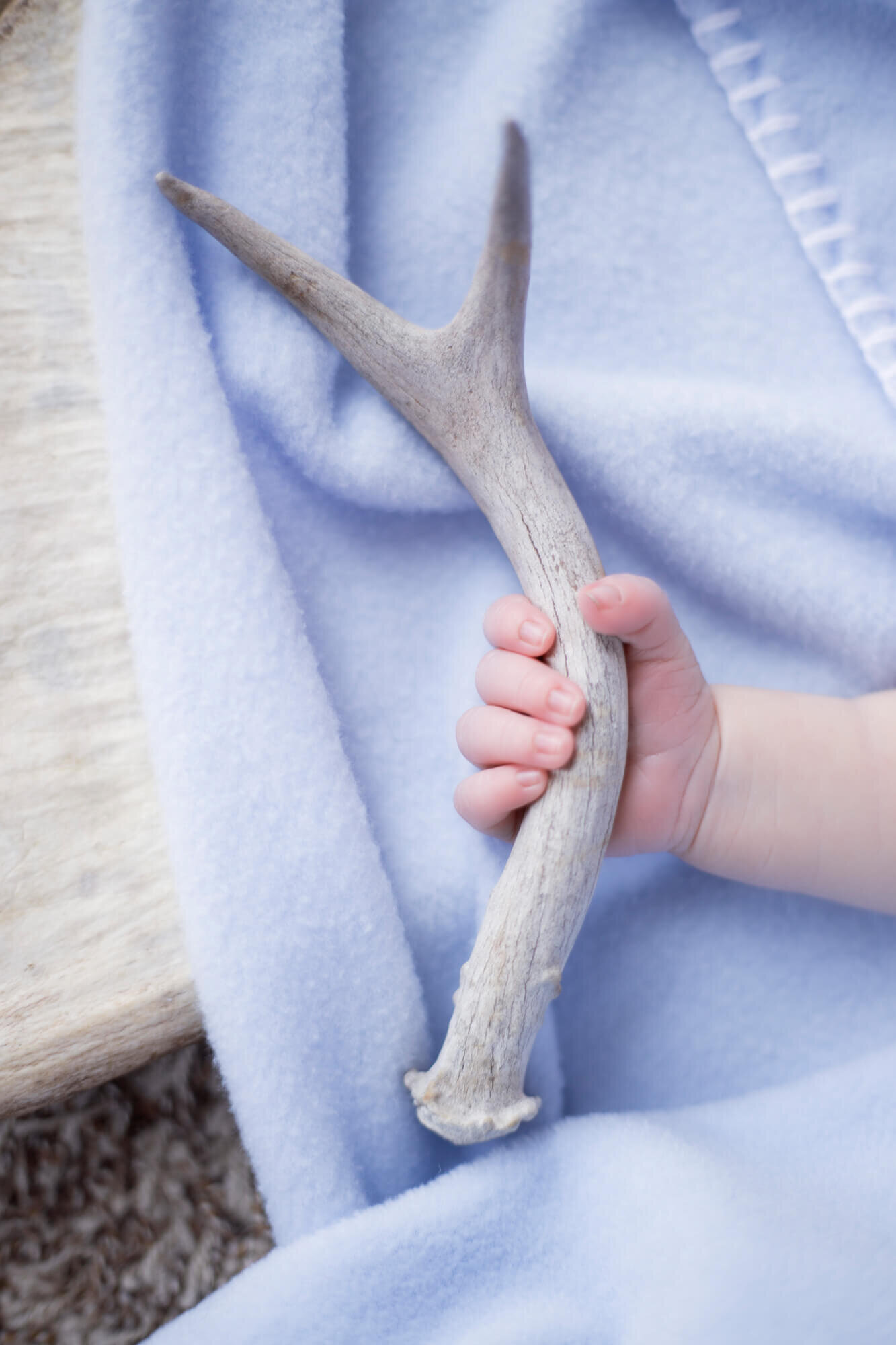 newborn baby hand holding small antler on a blue blanket