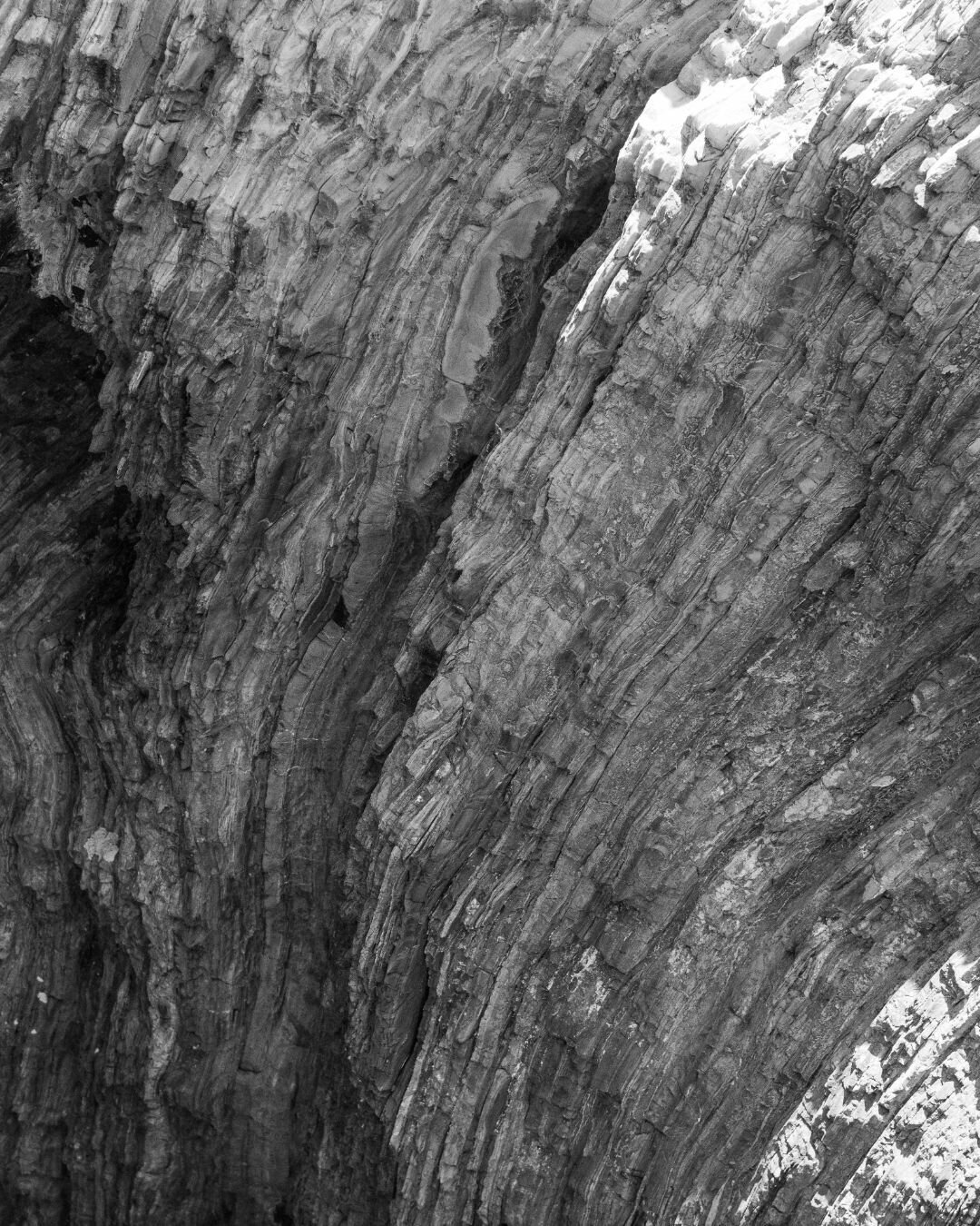 Belleza Sol - IG (9)