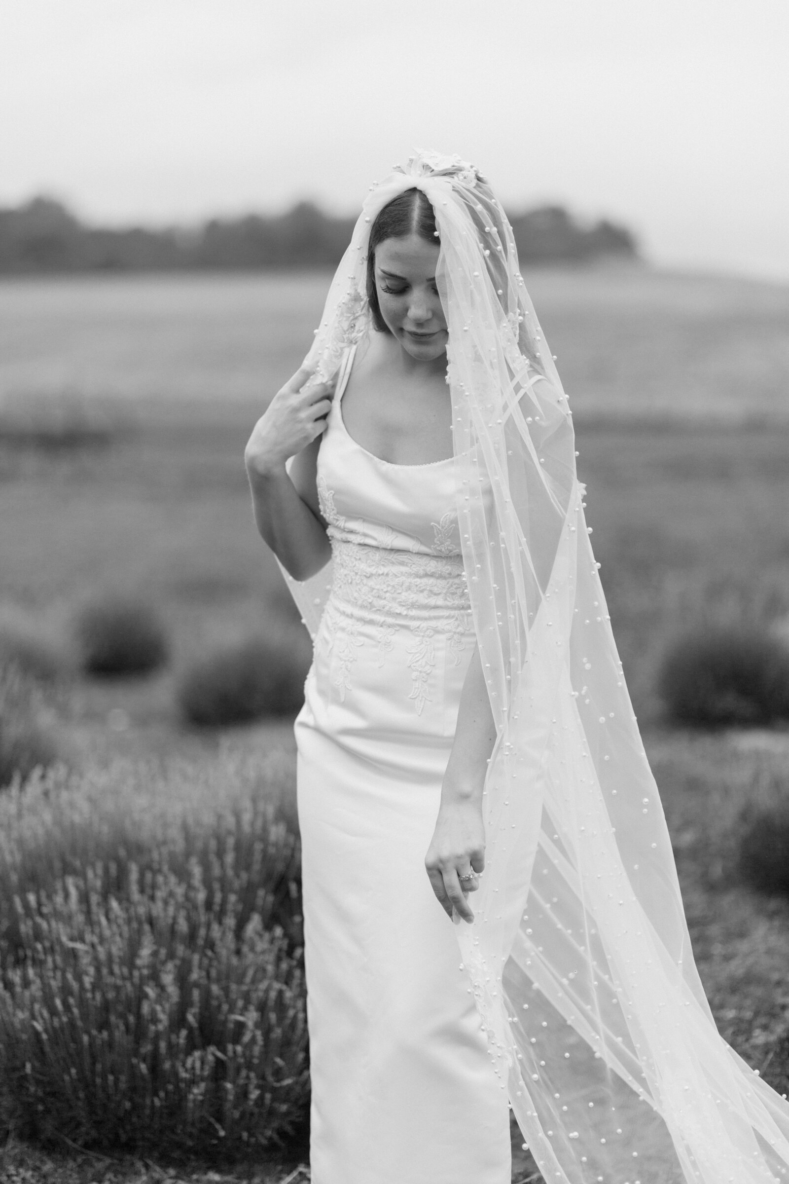 Todor-Wed644