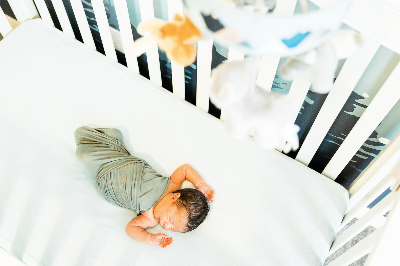 dallas in home newborn photographer (2)