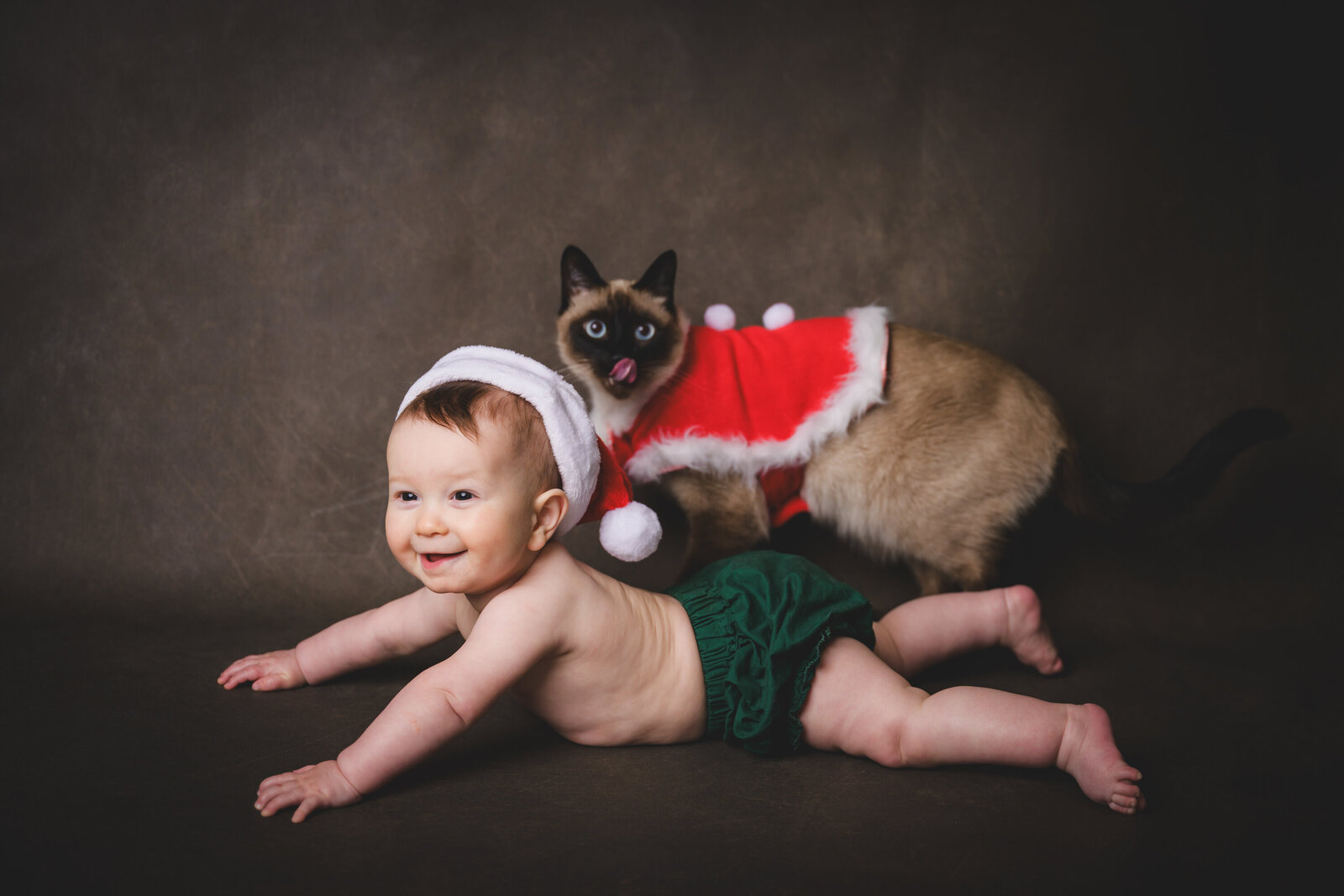MiniAnna2022-MeganMullins-CharlieSherlock-5930srgb3000px