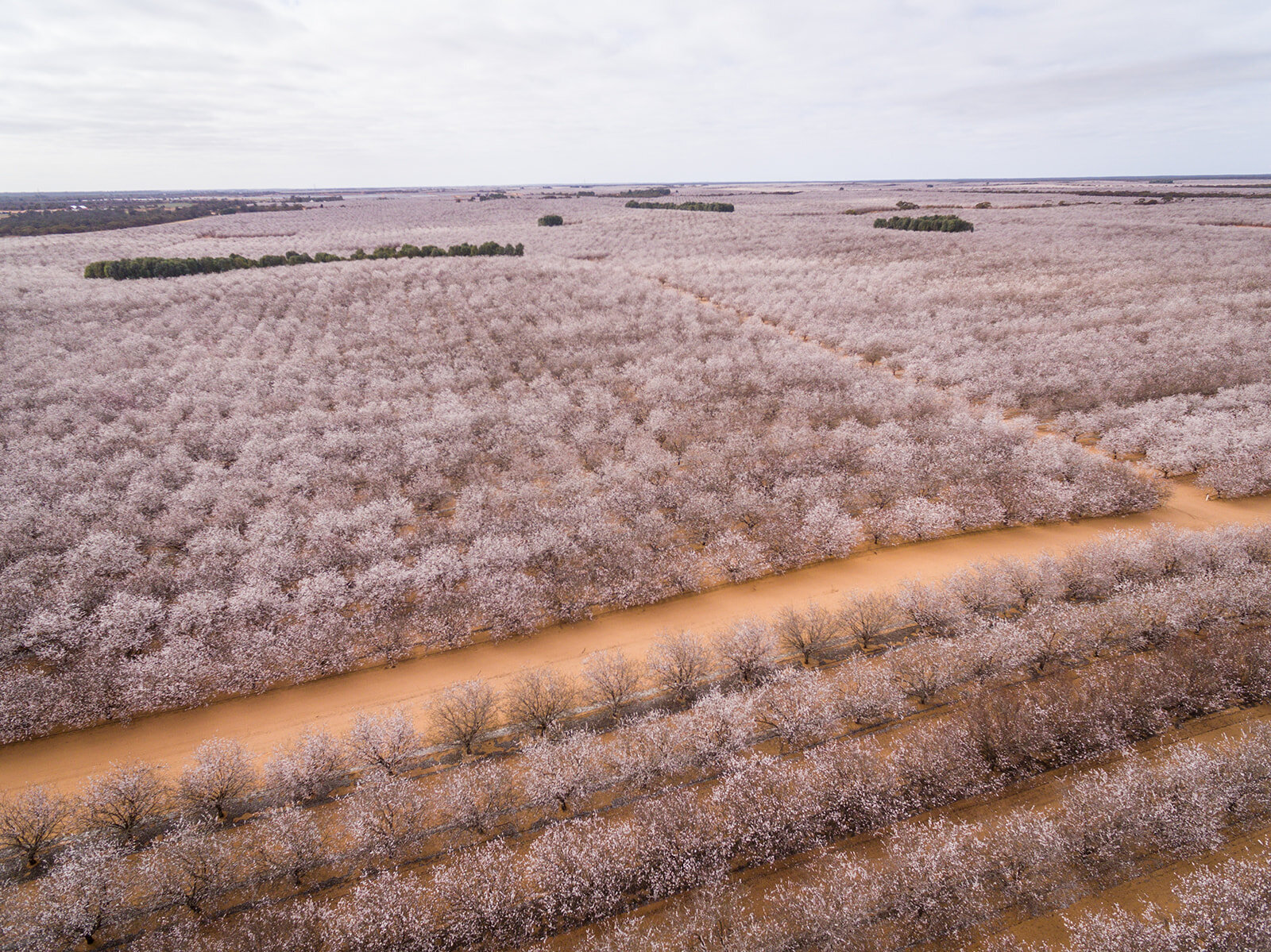 DJI_0050