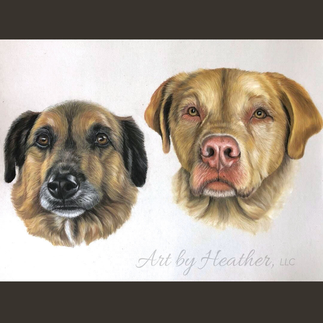 A pastel portrait of a german shepherd mix breed dog with a yellow lab.