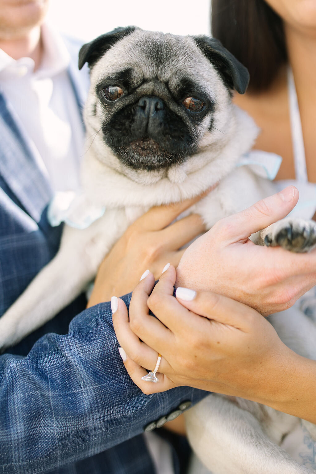 E&C_EngagementParty-76