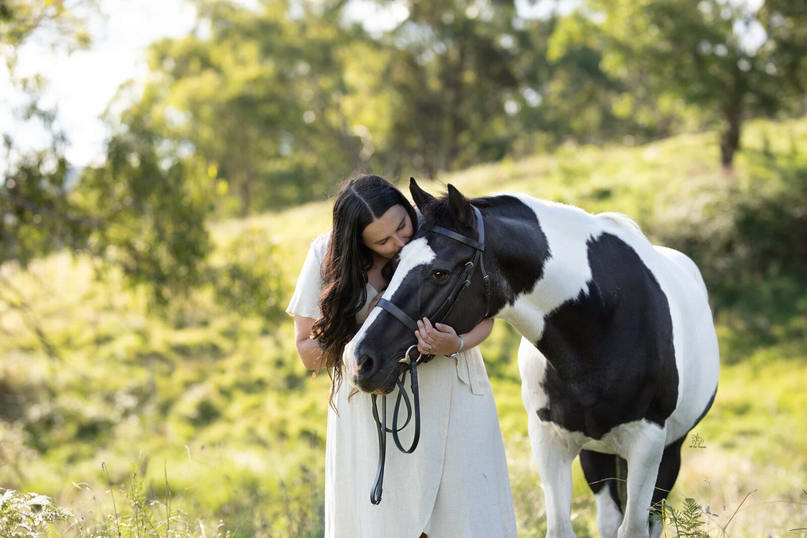 (47) NSW Paint horse photoshoot