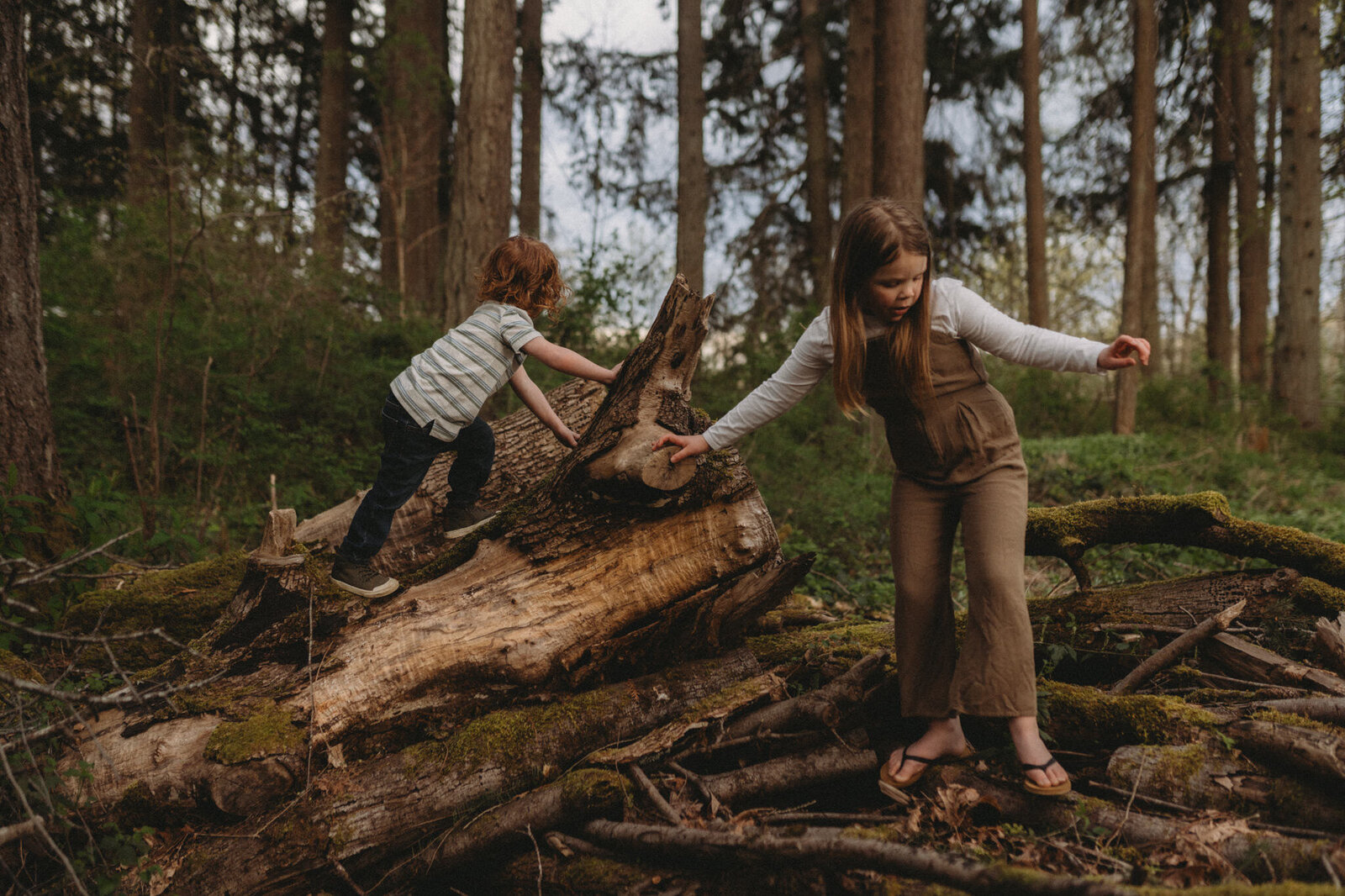 olympia-family-photographer-washington8