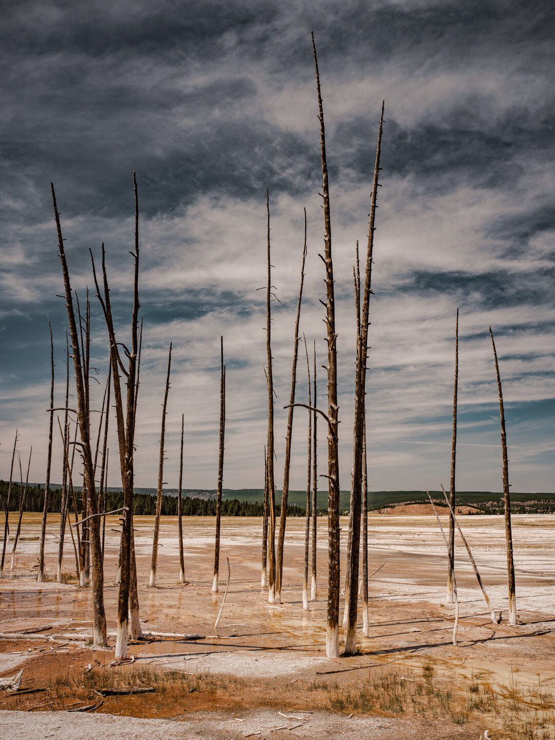 Resolute Territory - Landscape Art Prints - 21