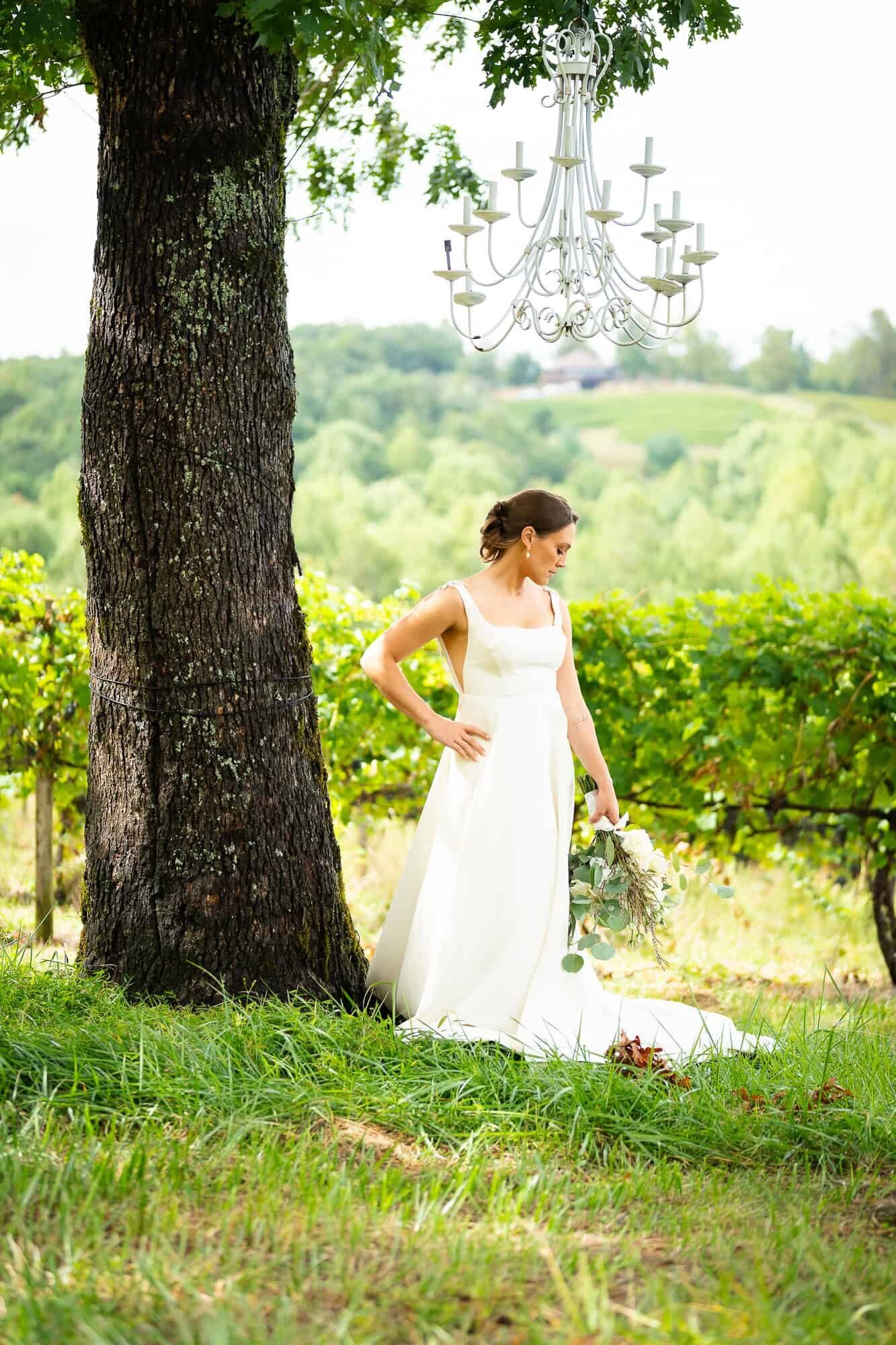 bridal portraits at North GA wedding at terra incognita vineyard wedding venue