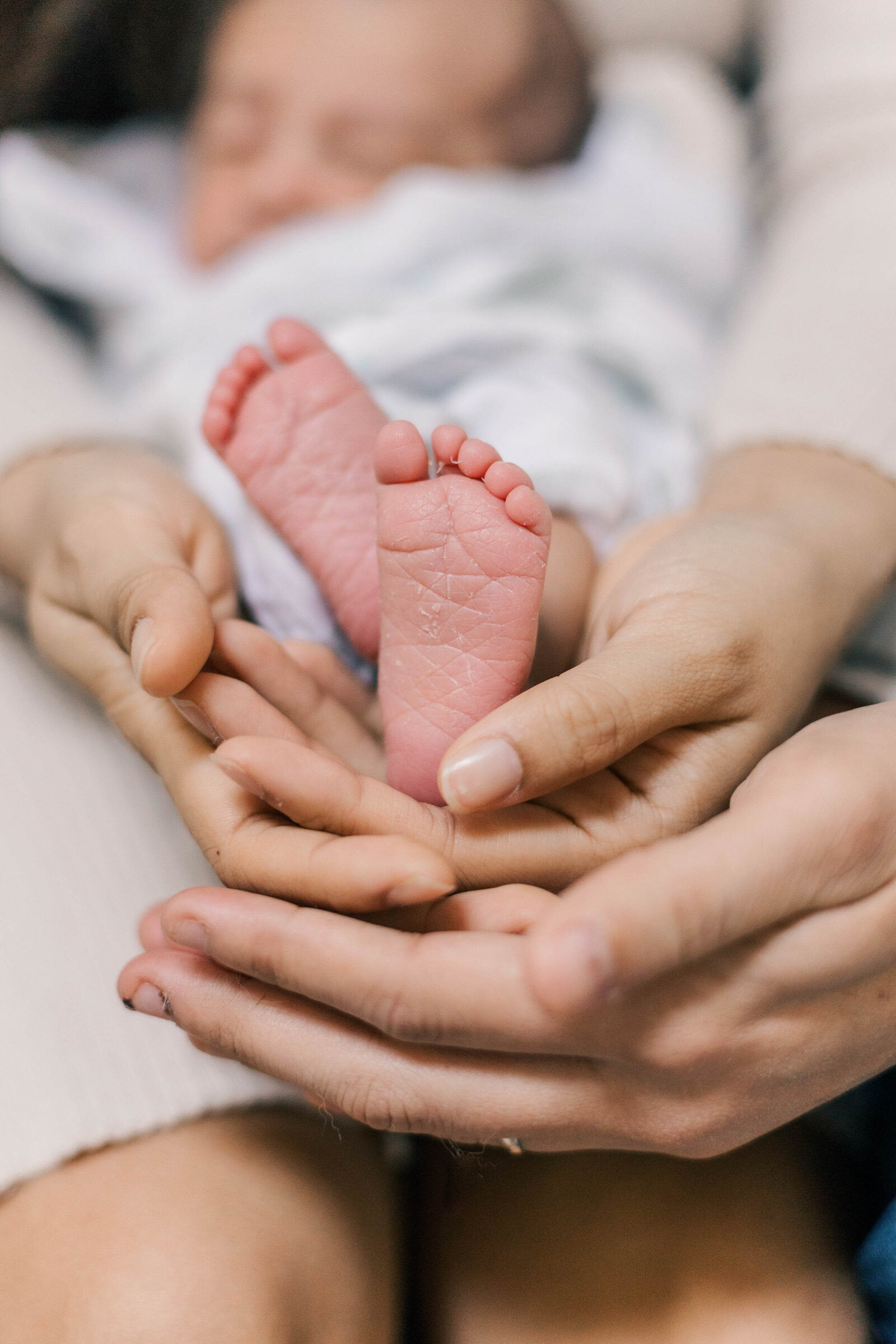 mountain view newborn photographer