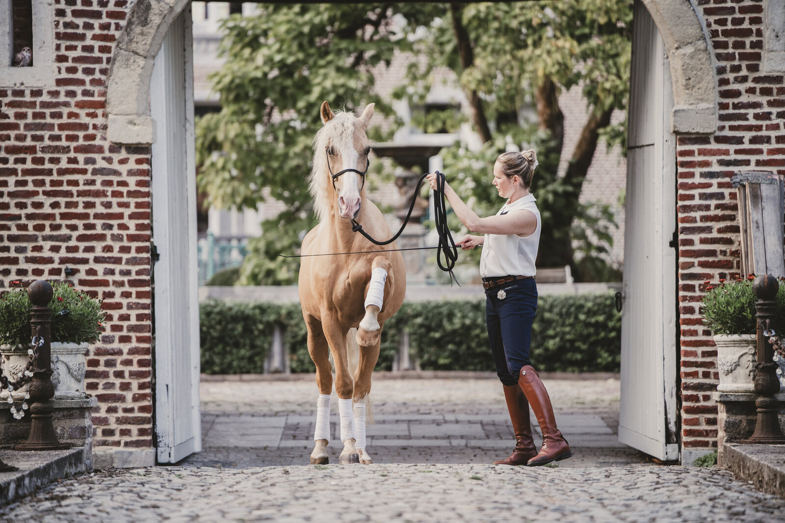 Paardenfotograaf in Beringen, Limburg