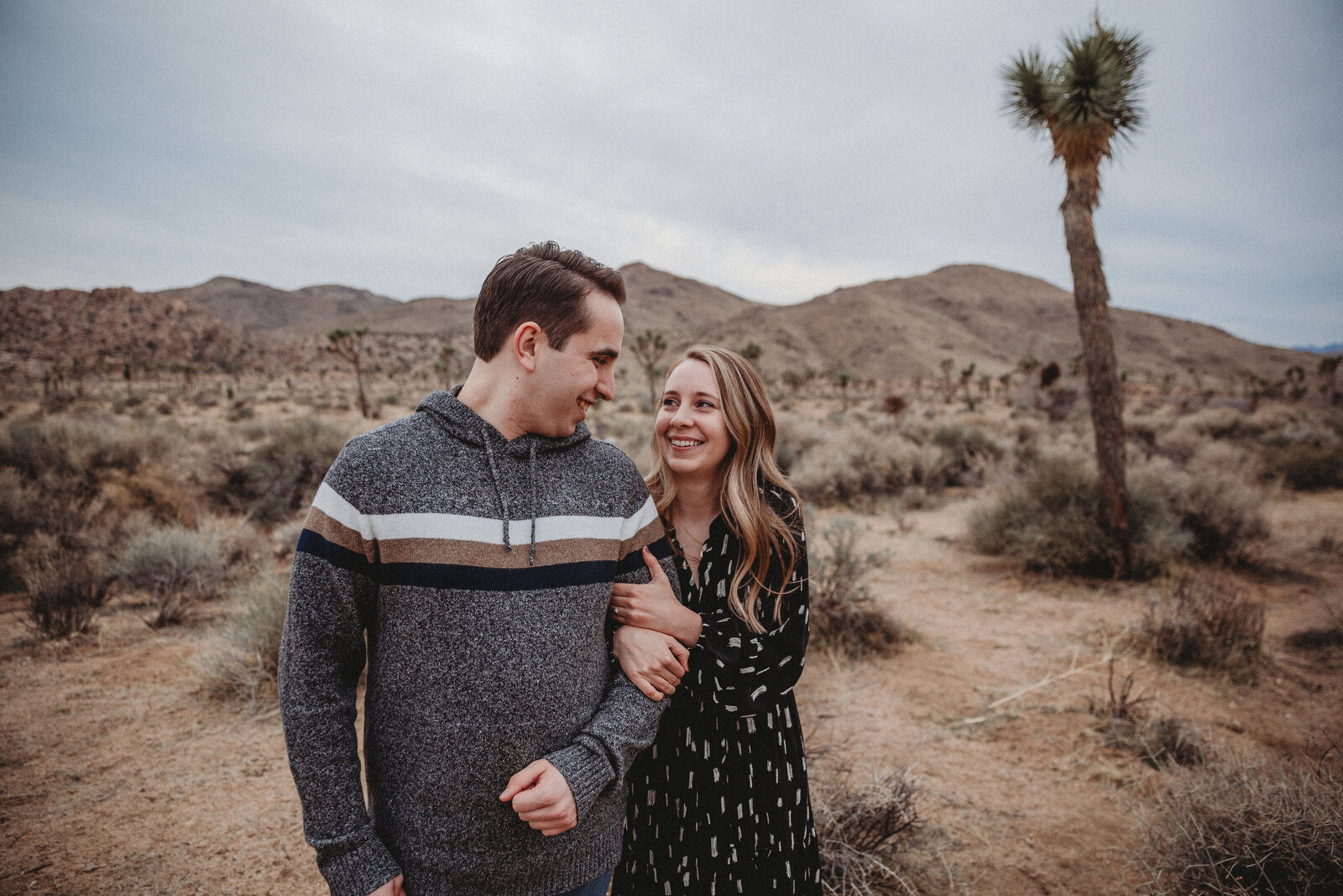 blue hour couple session southern cajoshua tree couple engagement session couple snuggling hand in hand