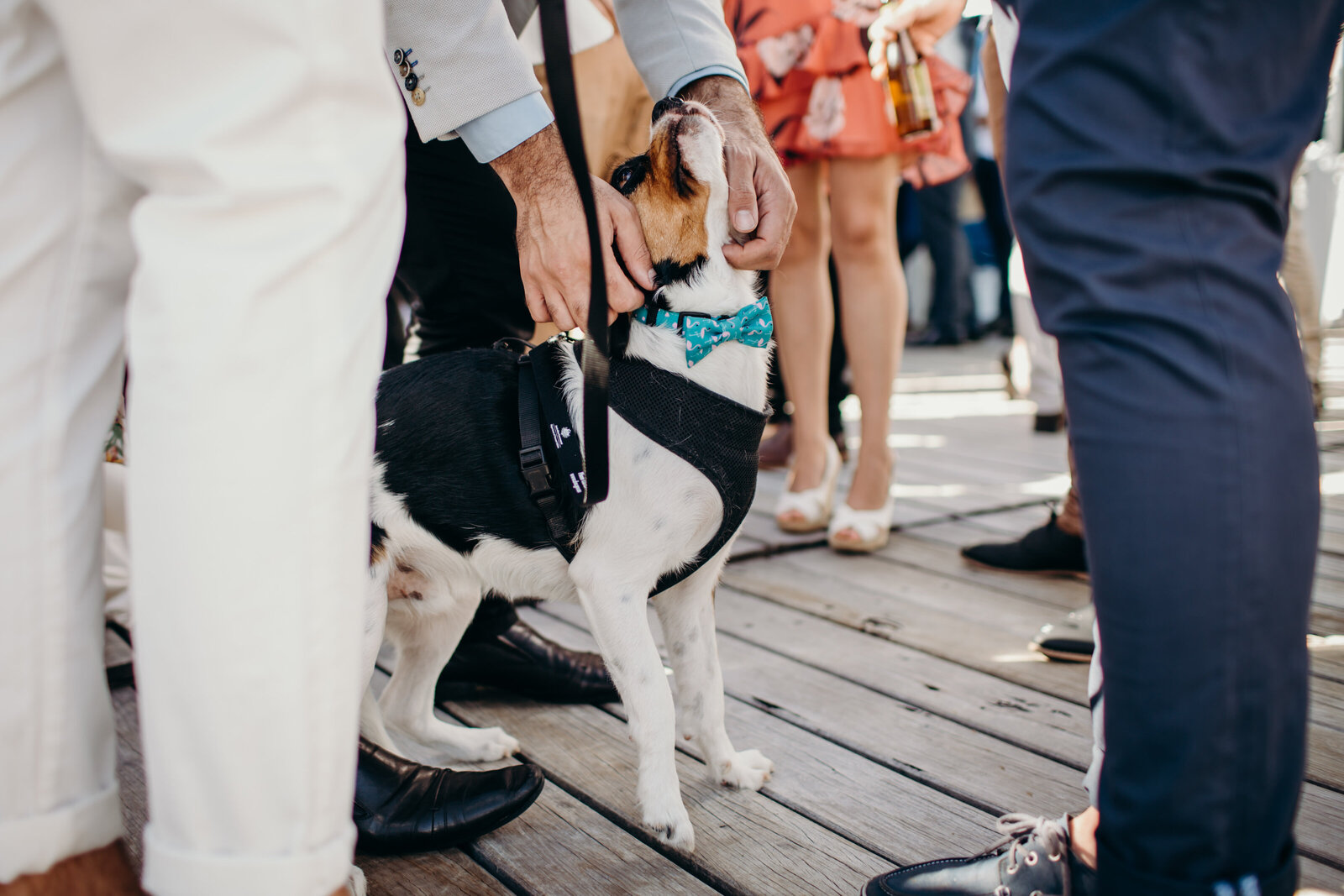 0119_Vaucluse Yacht Club_Watsons Bay Wedding