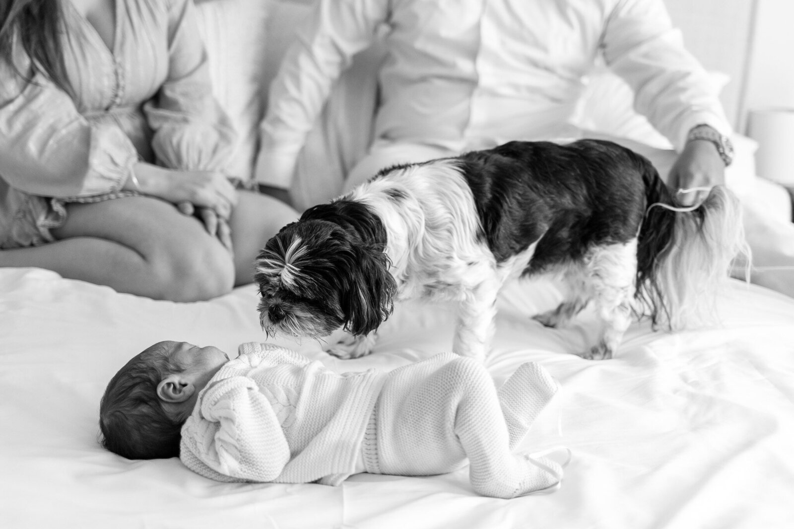 newborn-photos-fresh48-carolinas-charlotte (7)