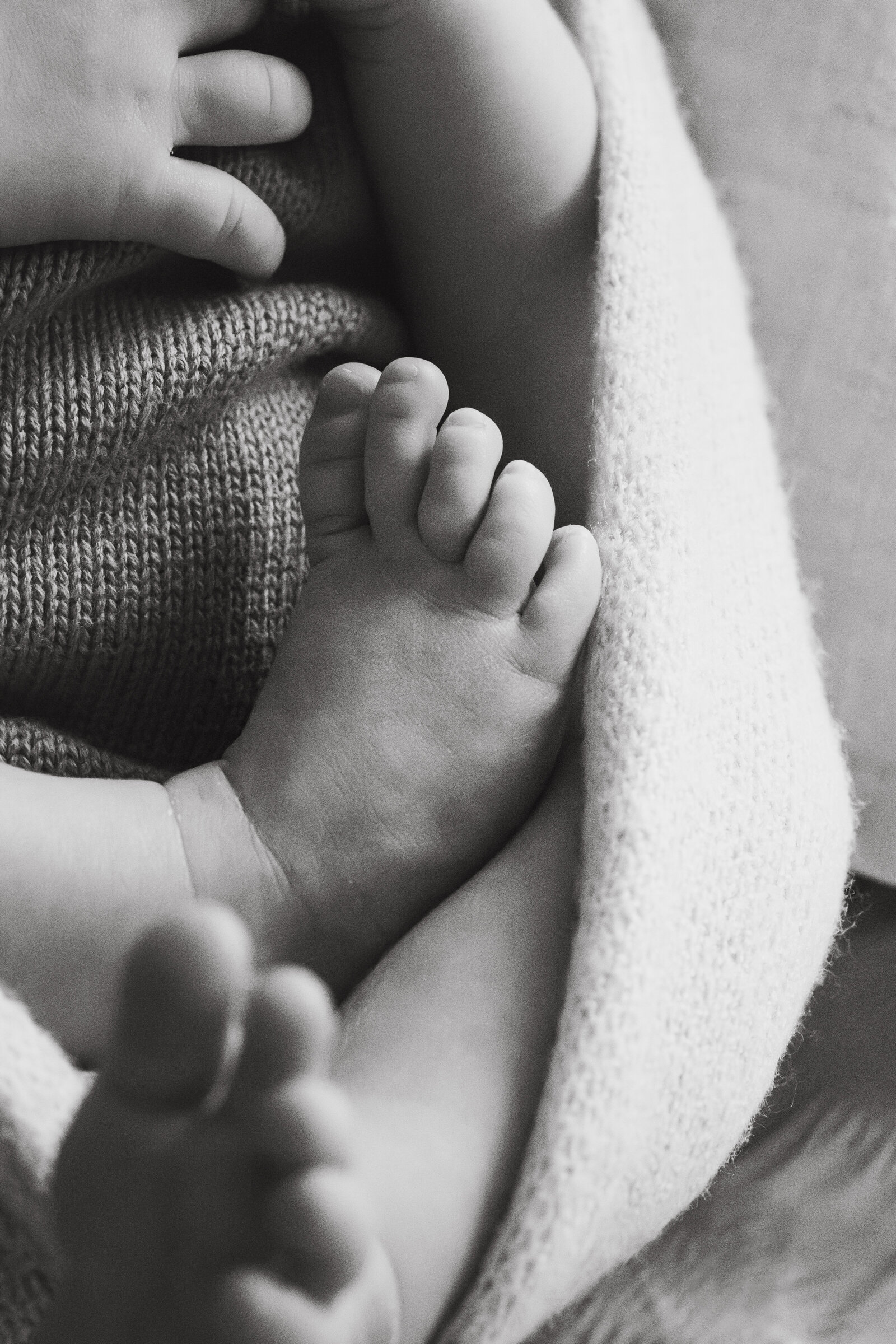 newborn-photography-session-hawkesbury-lifestyle