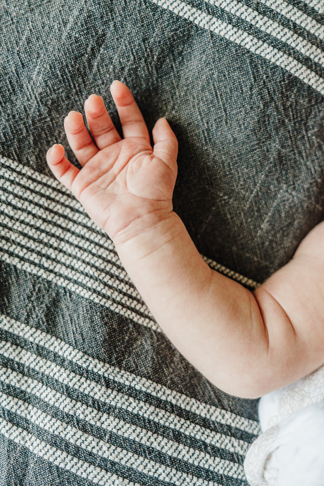 close up photo of a newborn hand