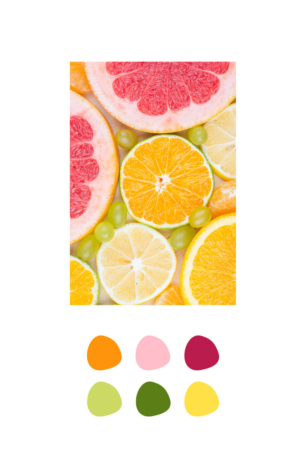 Bright-bold-brand-design-7