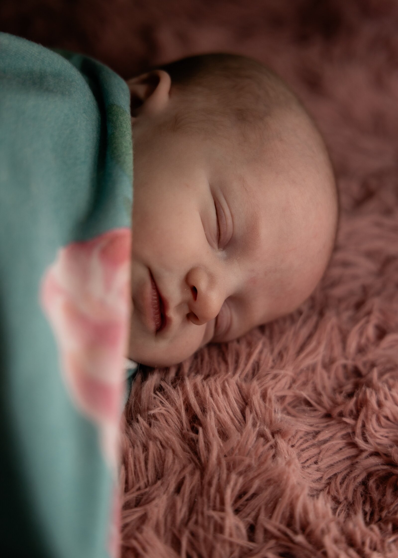 Kansas City Newborn Portraits 1