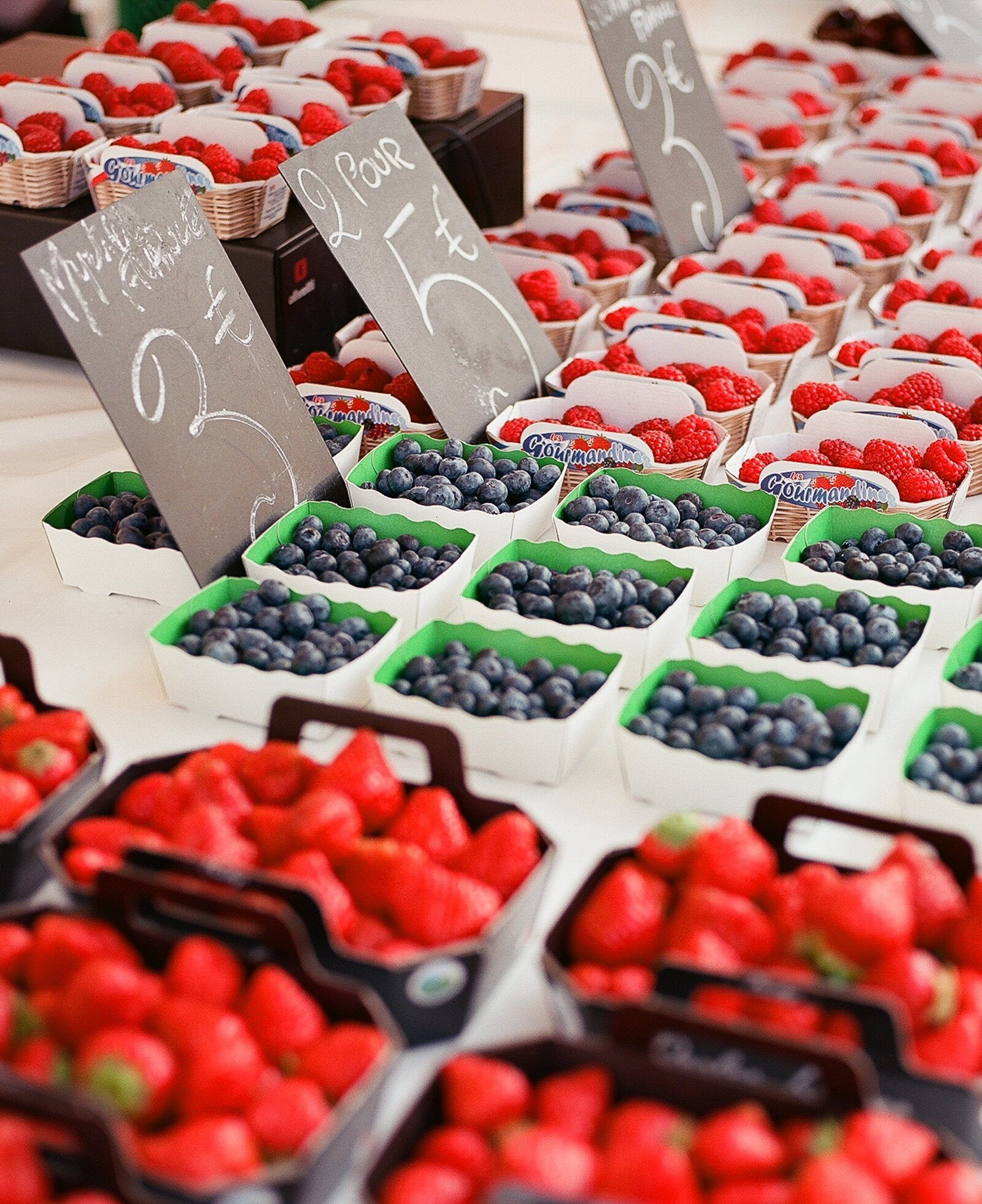 France_Nice_456030_0001©HilaryBlock