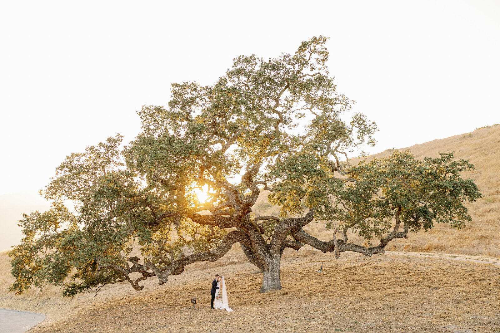 nd_holman ranch wedding_9.23.23_couple-167