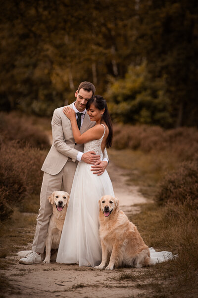 Trouwfoto's met Golden Retrievers