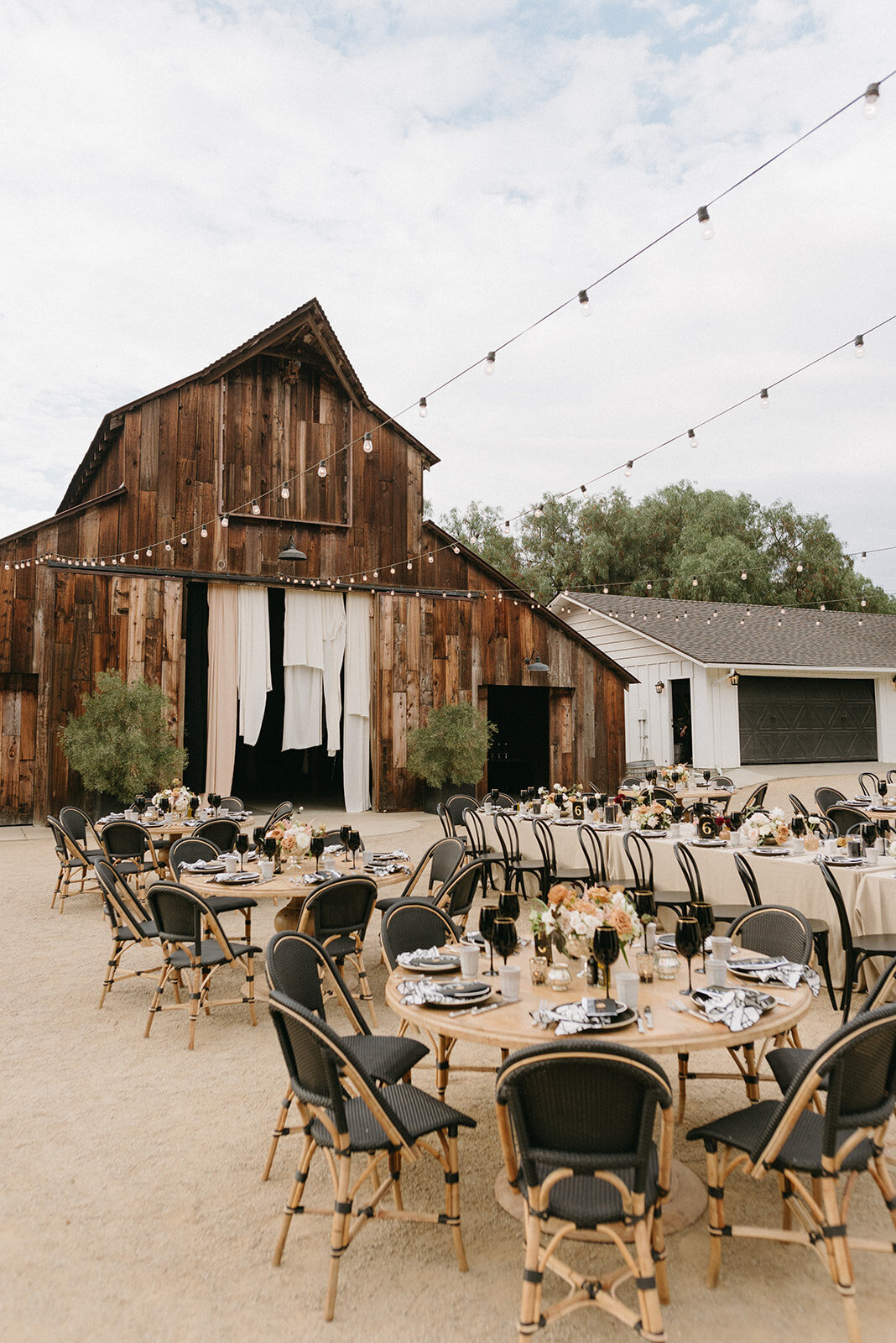 BrianaNolan_Wedding_LS_1-1392