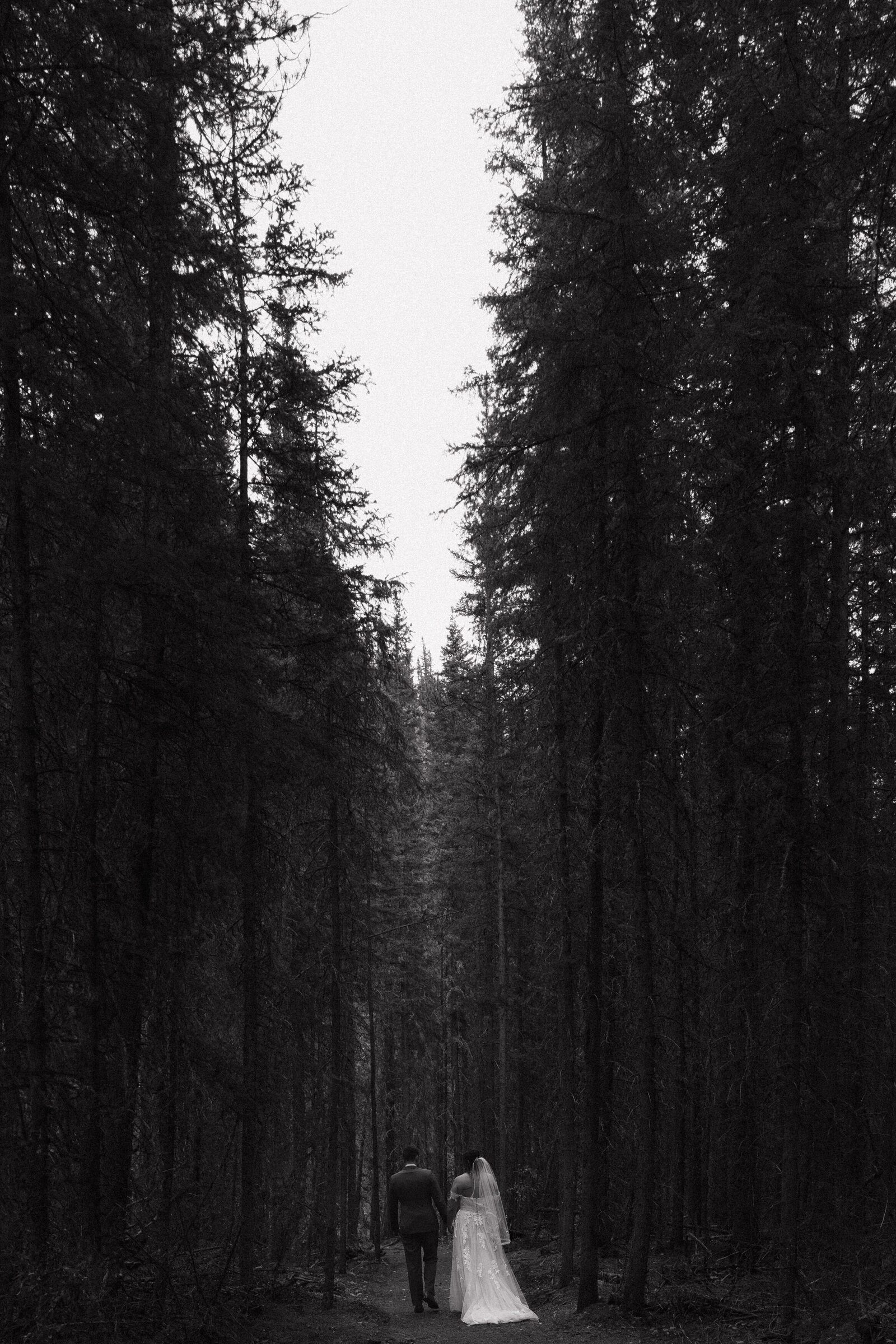 JB Photography - Intimate Romantic Kananaskis Elopement-11