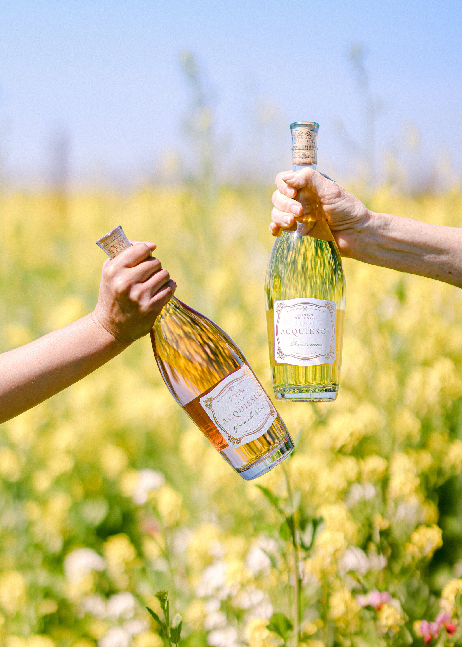 holding up wine bottles mustard vineyard photography