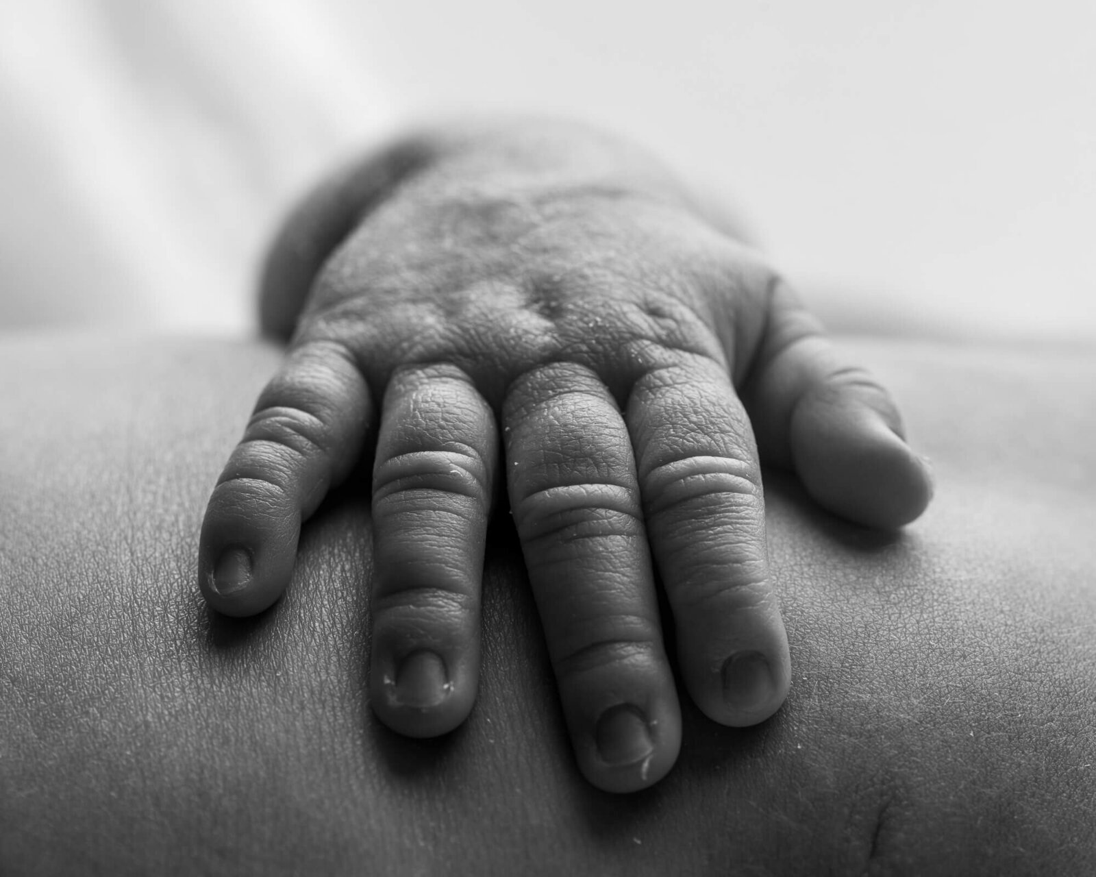 moody black and white picture of baby hand