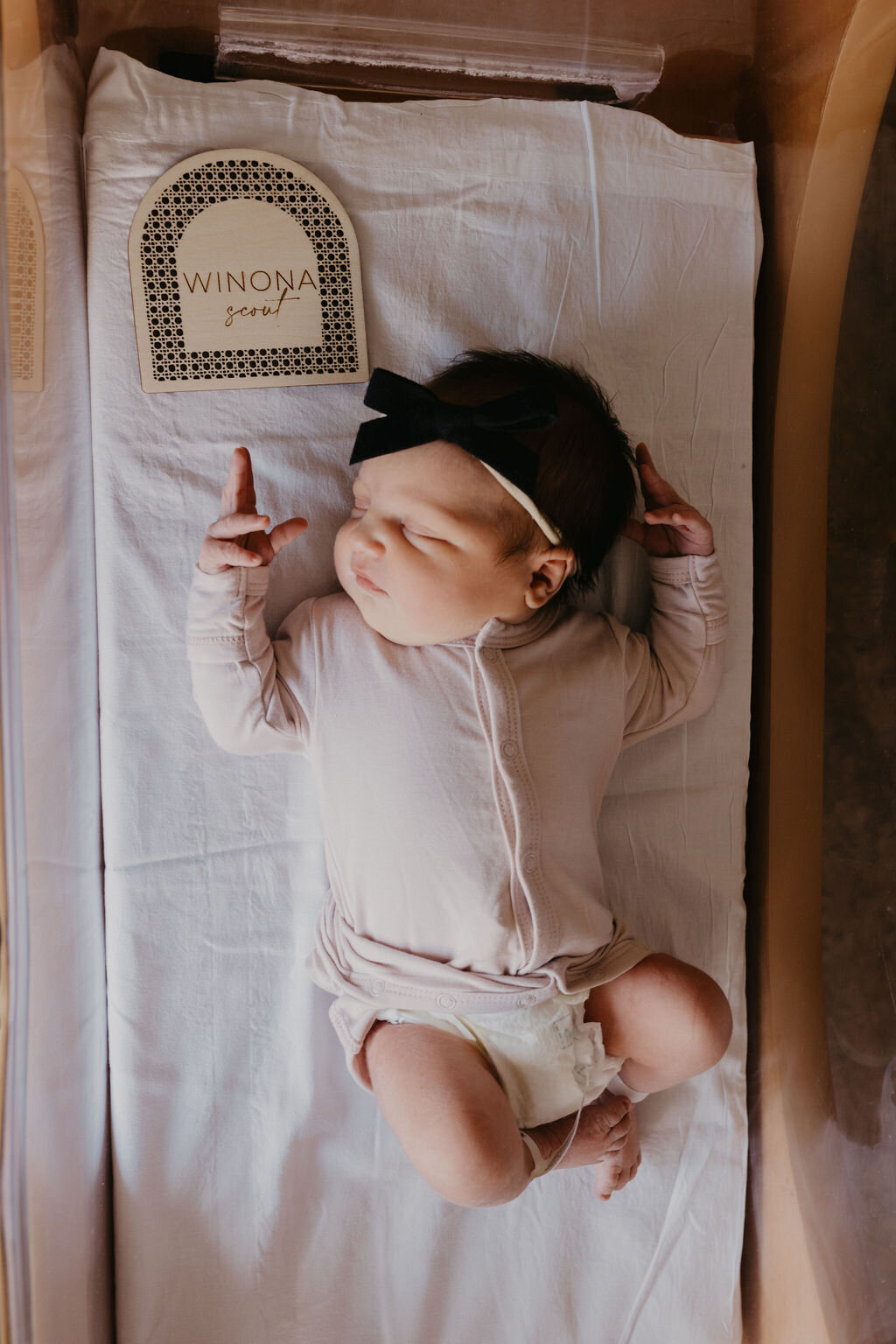 AbigailElizabethPhoto-9868