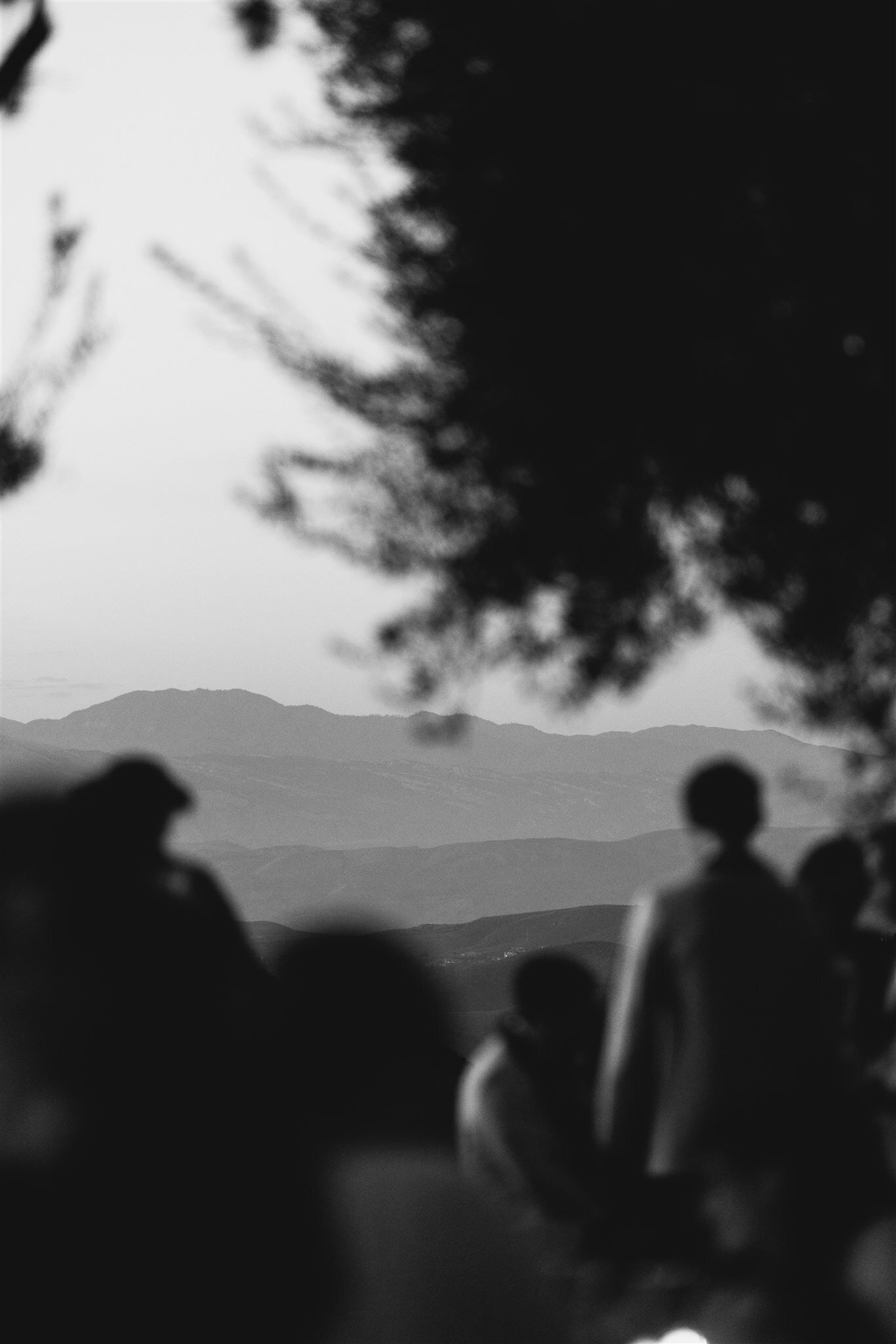 cielo-farm-wedding-hanna-walkowaik-photography-1960