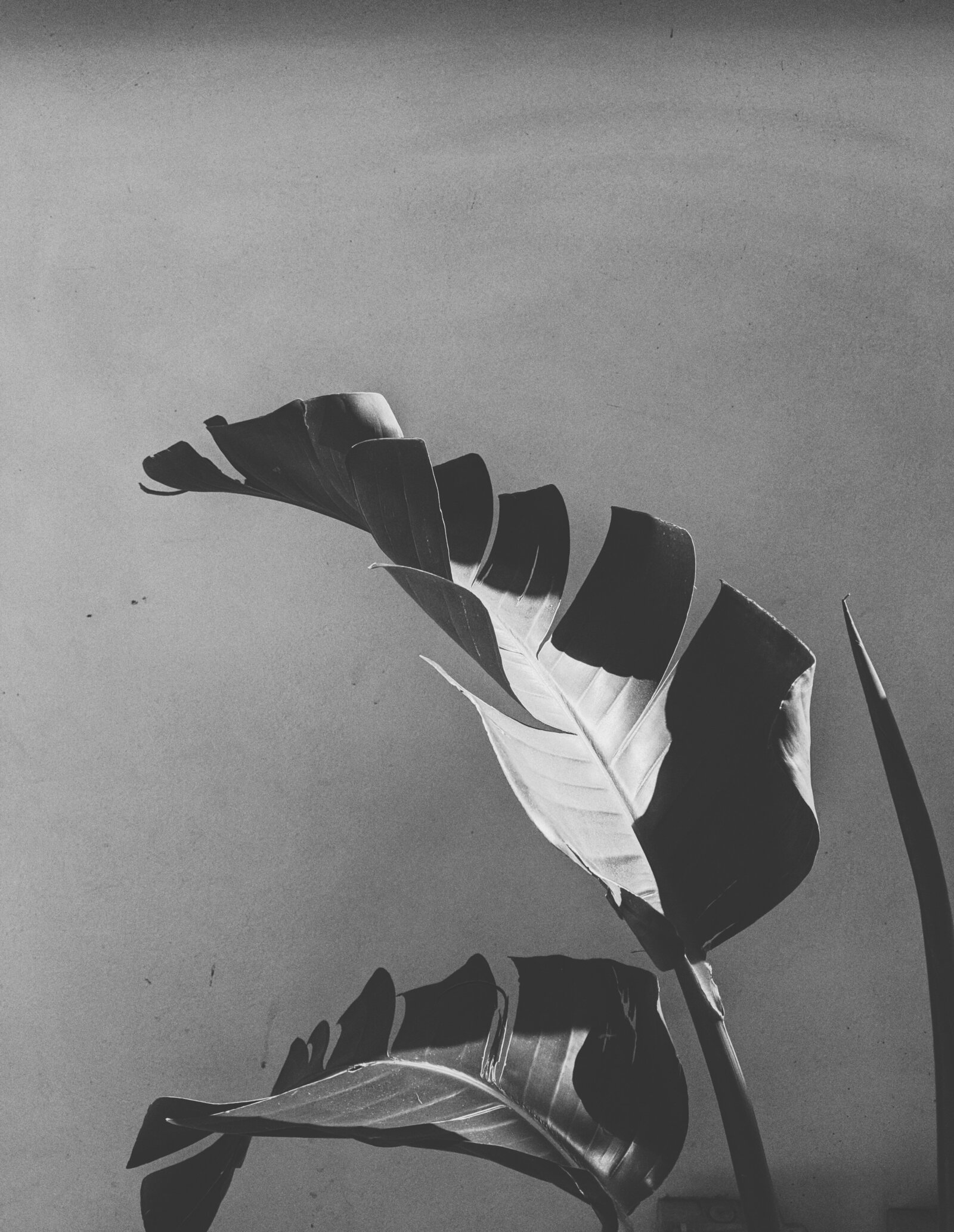 valeriia-miller-pU24KwSPVc8-unsplash
