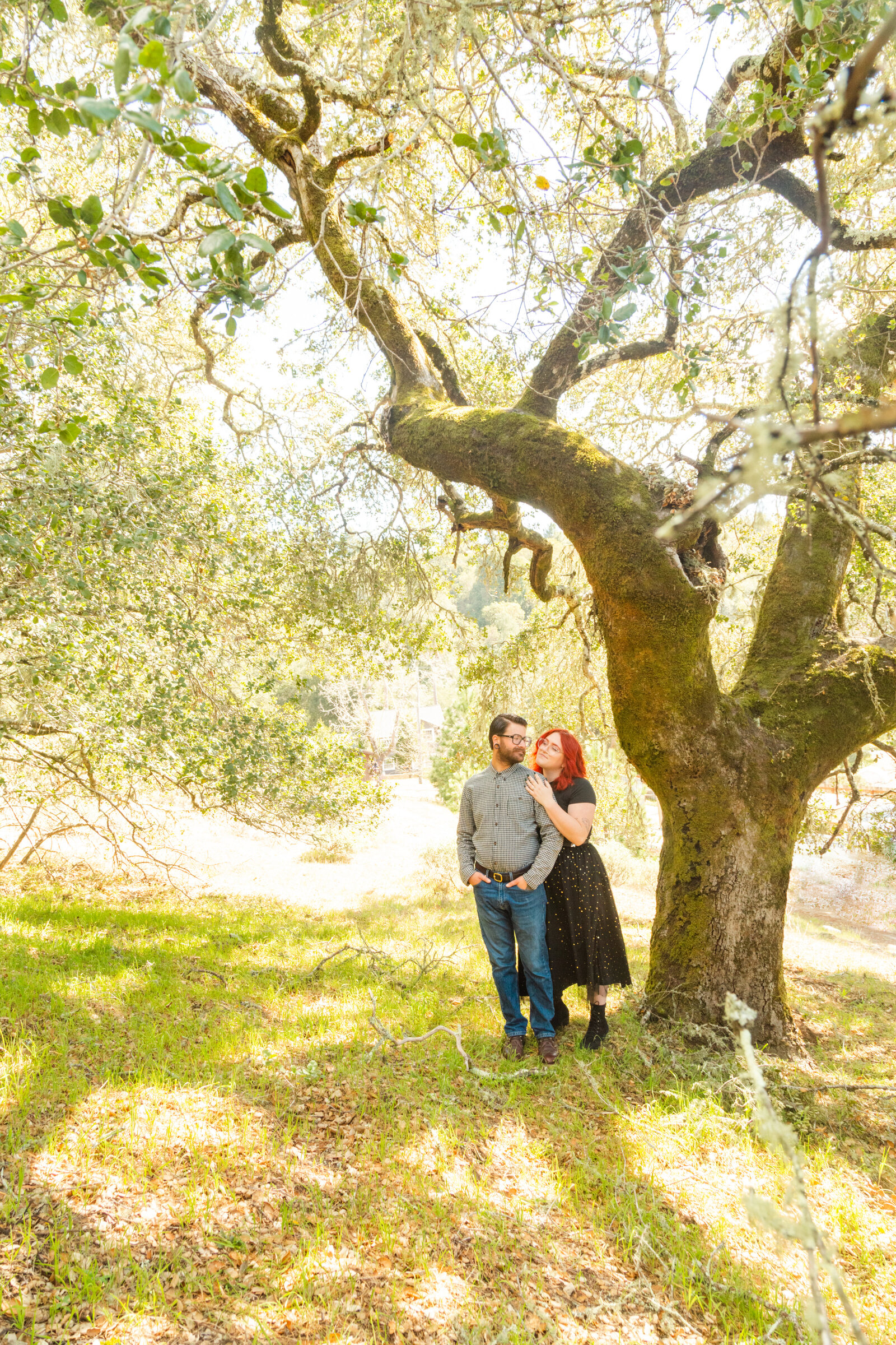 An tattooed engaged couple poses for photos in a redwood forest in Santa Cruz, Ca.
