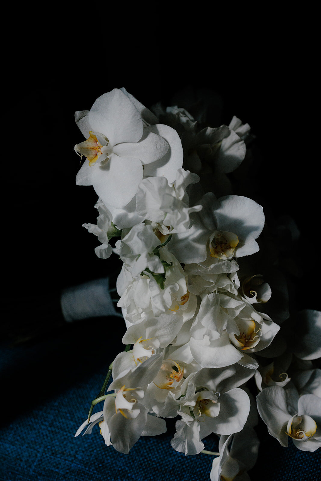 9746233548.jpg_exif1