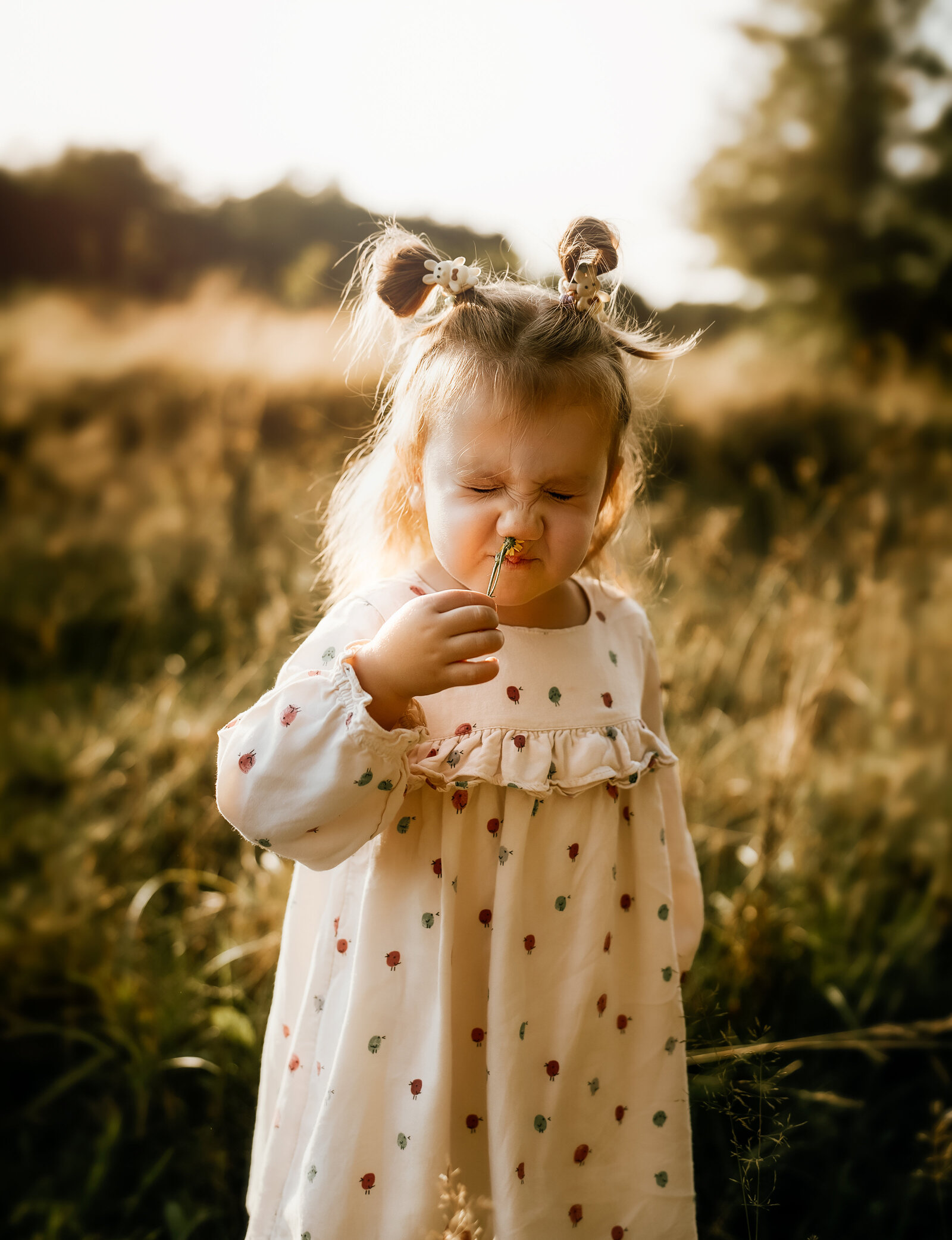 Maternity Photographer - Violet Sunset Photography