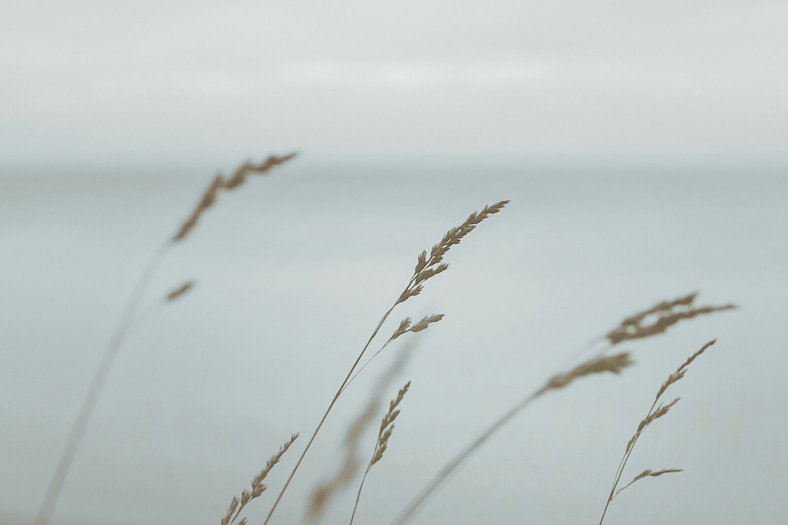 stefanie-jockschat-Pm5rQACbT2k-unsplash